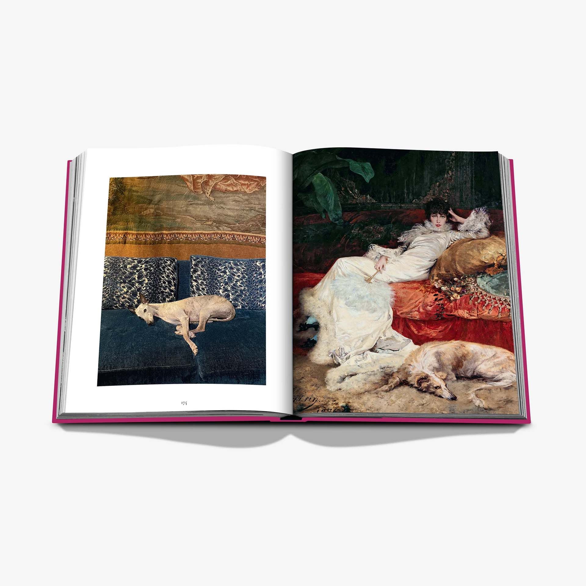 ASSOULINE Libro Chic Dogs 25 x 4 x H 33 CM 9781649804419