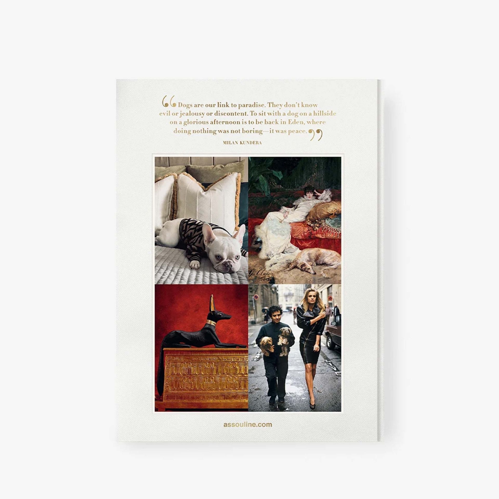 ASSOULINE Libro Chic Dogs 25 x 4 x H 33 CM 9781649804419