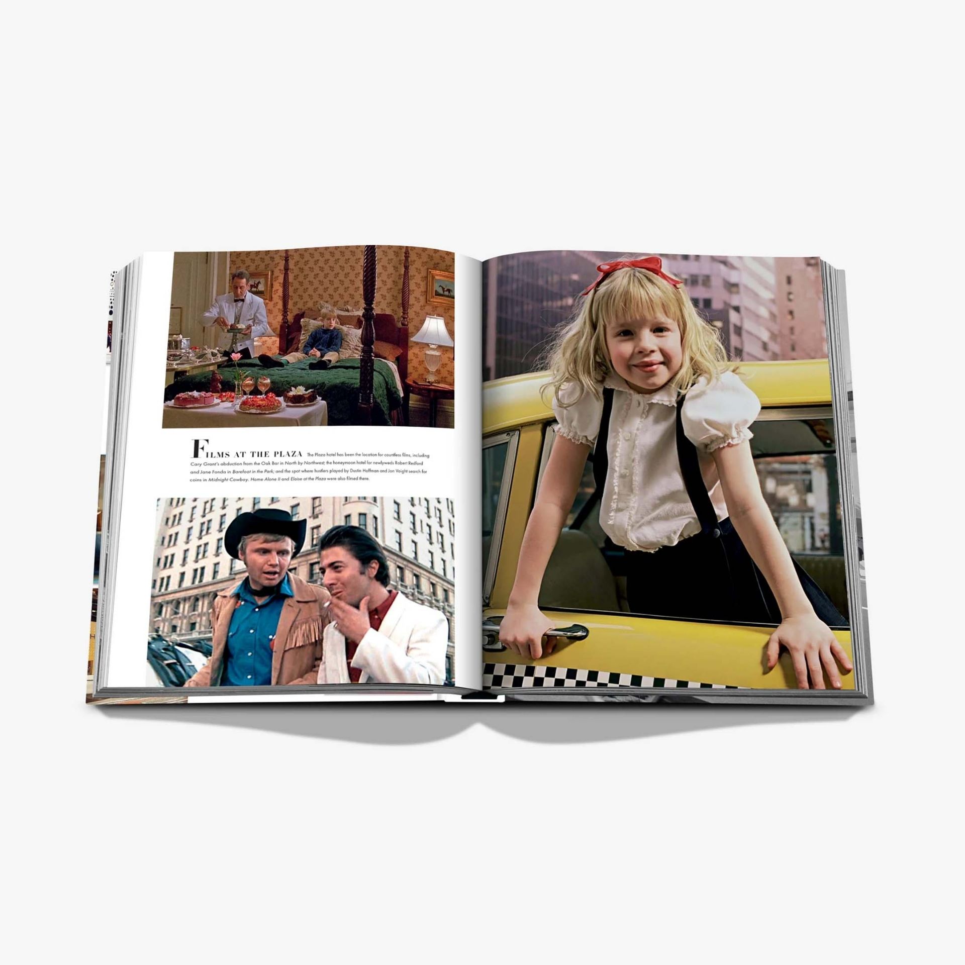 ASSOULINE Libro Fifth Avenue: 200 Years of Stories and Legends 25 x 4 x H 33 CM 9781649803993