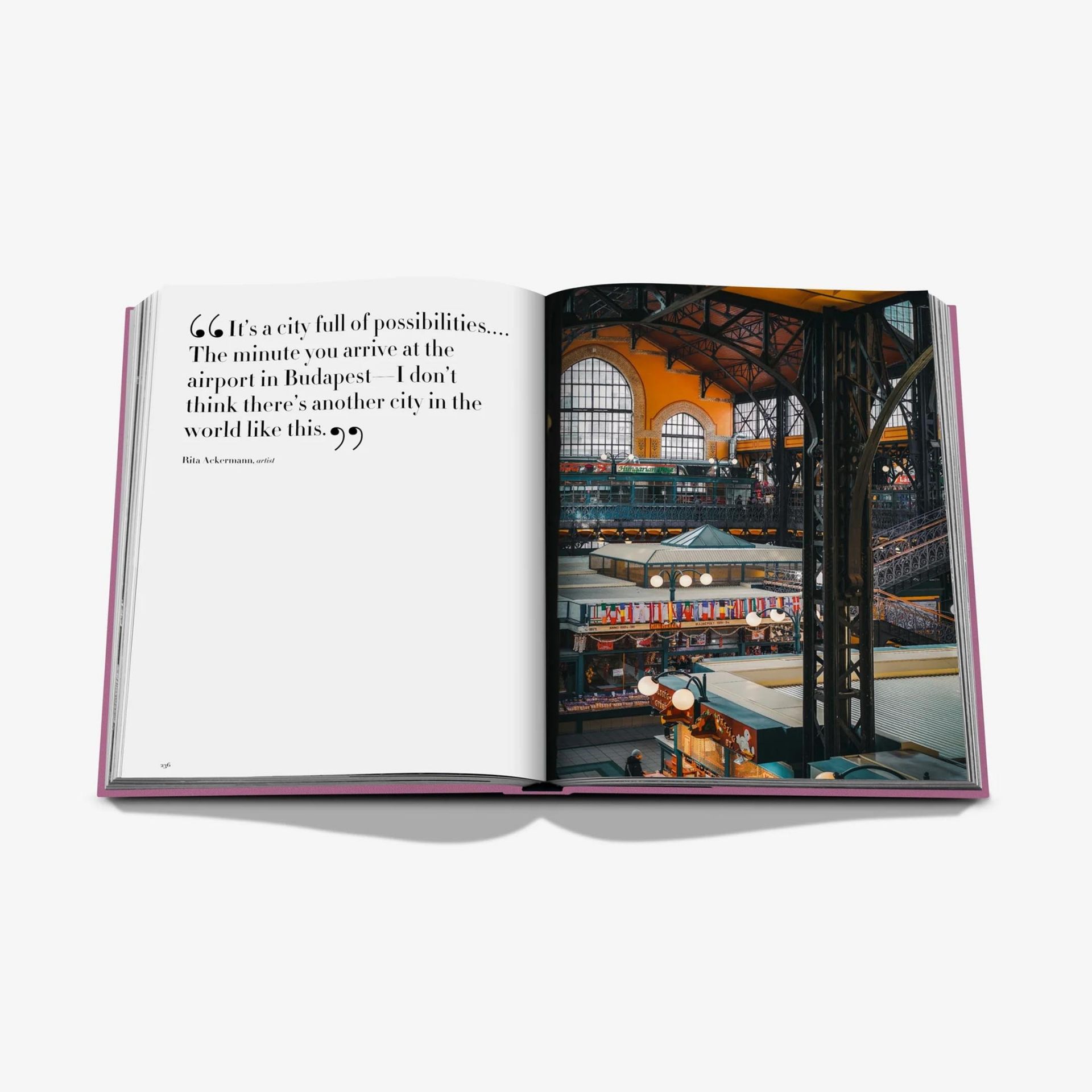 ASSOULINE Libro Budapest Gem 25 x 4 x H 33 CM 9781649803412
