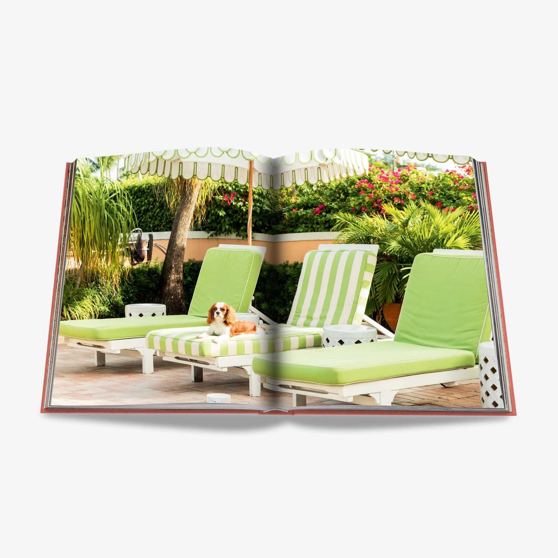 ASSOULINE Libro Palm Beach 25 x 4 x H 33 CM 9781614288626