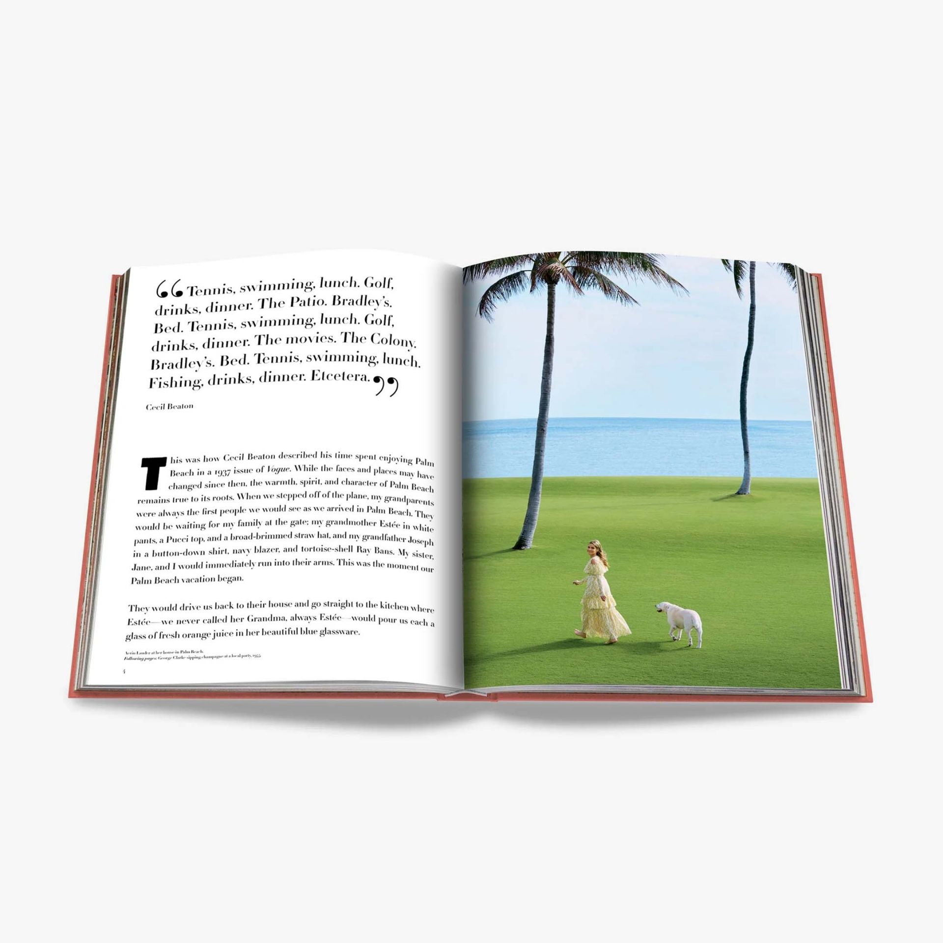 ASSOULINE Libro Palm Beach 25 x 4 x H 33 CM 9781614288626