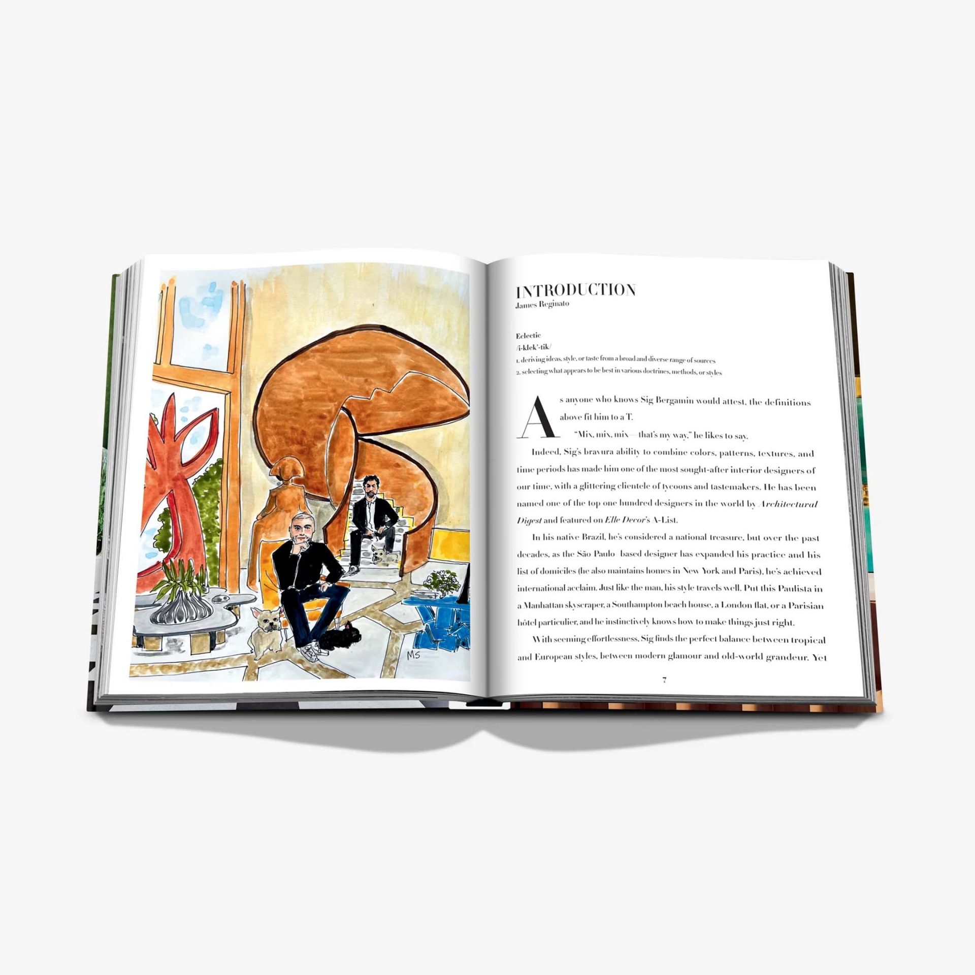 ASSOULINE Libro Sig Bergamin: Eclectic 25 x 4 x H 33 CM 9781649804273