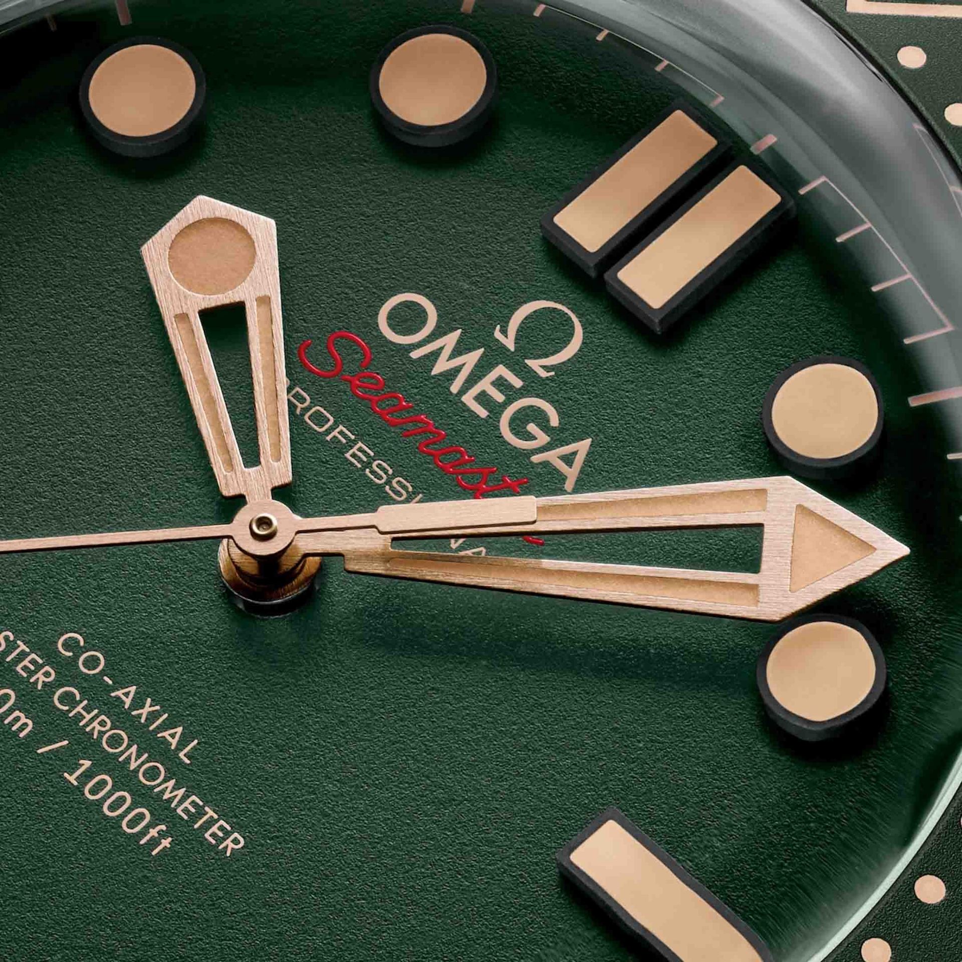 OMEGA Seamaster Diver 300M 42 MM 210.92.42.20.10.001