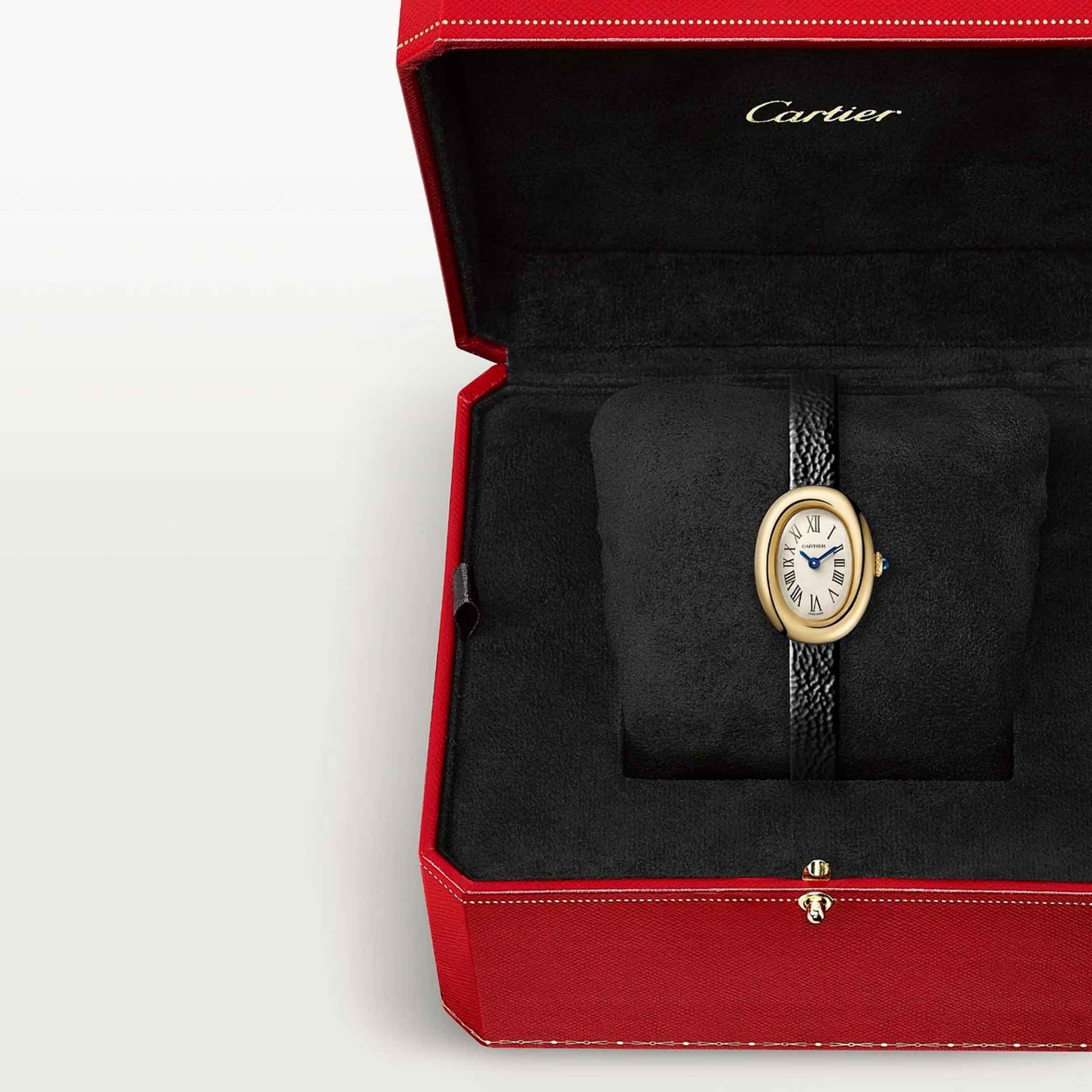 CARTIER Baignoire Modello Mini, Oro Giallo, Pelle 24.6 X 18.7 MM WGBA0041