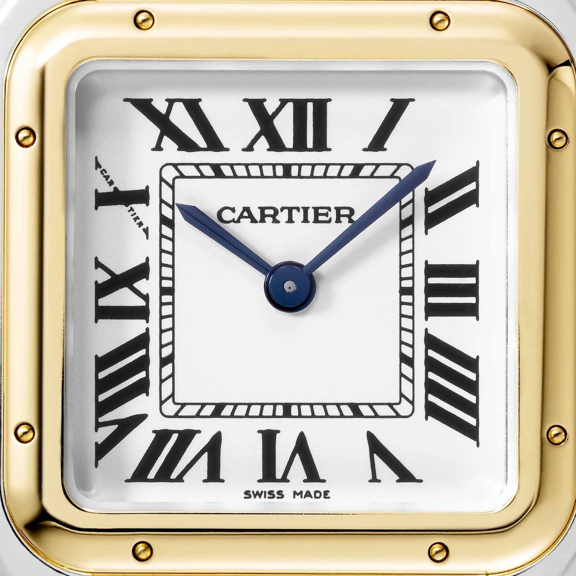 CARTIER Panthère De Cartier Modello Medio, Oro Giallo e Acciaio 27X37 MM W2PN0014