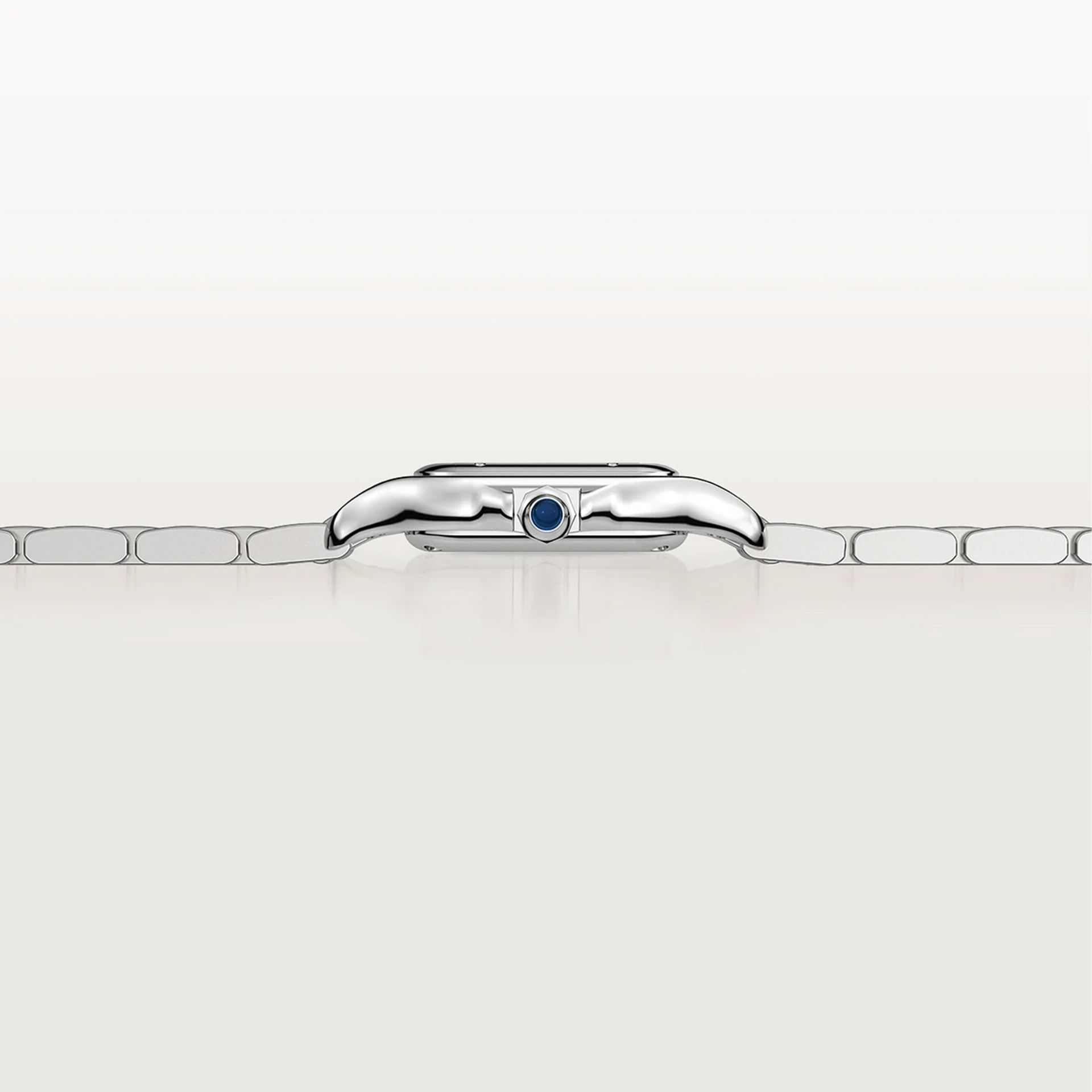 CARTIER Panthère De Cartier Modello Piccolo, Acciaio 22X30 MM WSPN0013