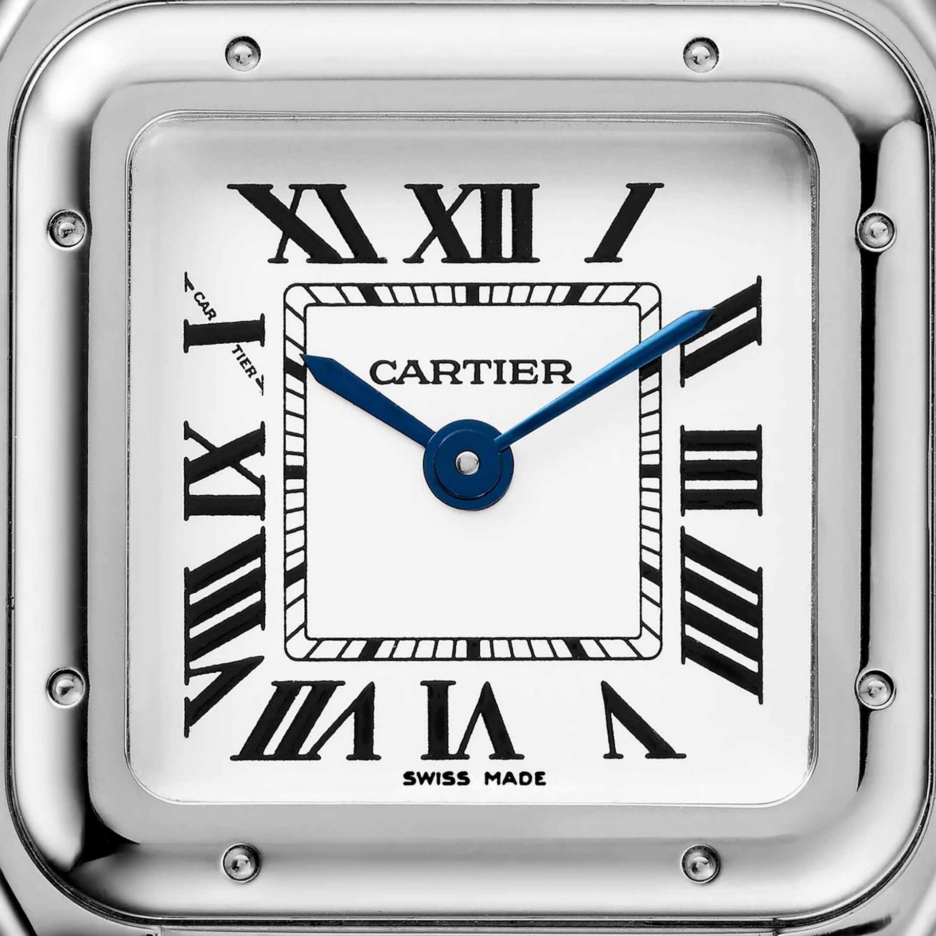 CARTIER Panthère De Cartier Modello Piccolo, Acciaio 22X30 MM WSPN0013