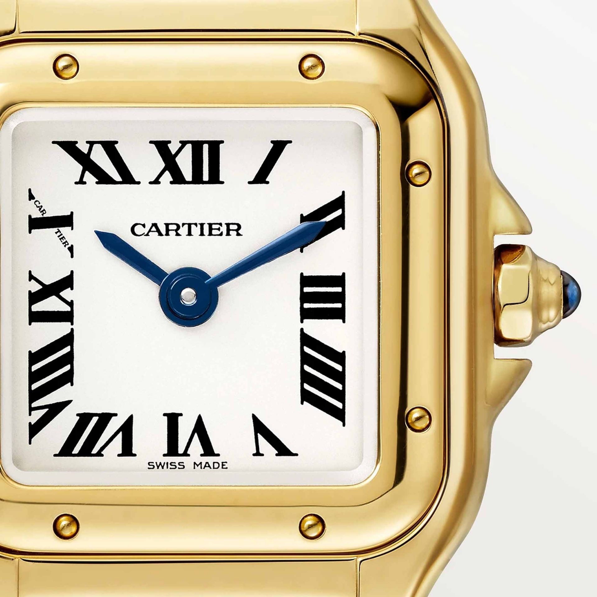 CARTIER Panthère De Cartier Modello Mini, Oro Giallo 25 X 21 MM WGPN0048