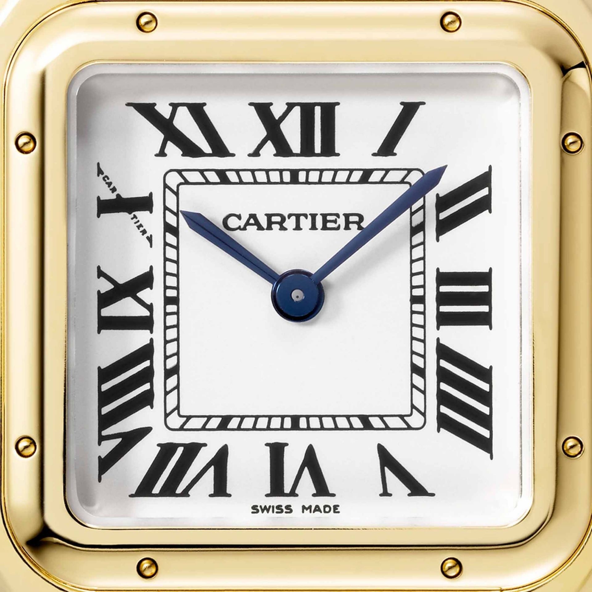 CARTIER Panthère De Cartier Modello Piccolo, Oro Giallo 22X30 MM WGPN0047