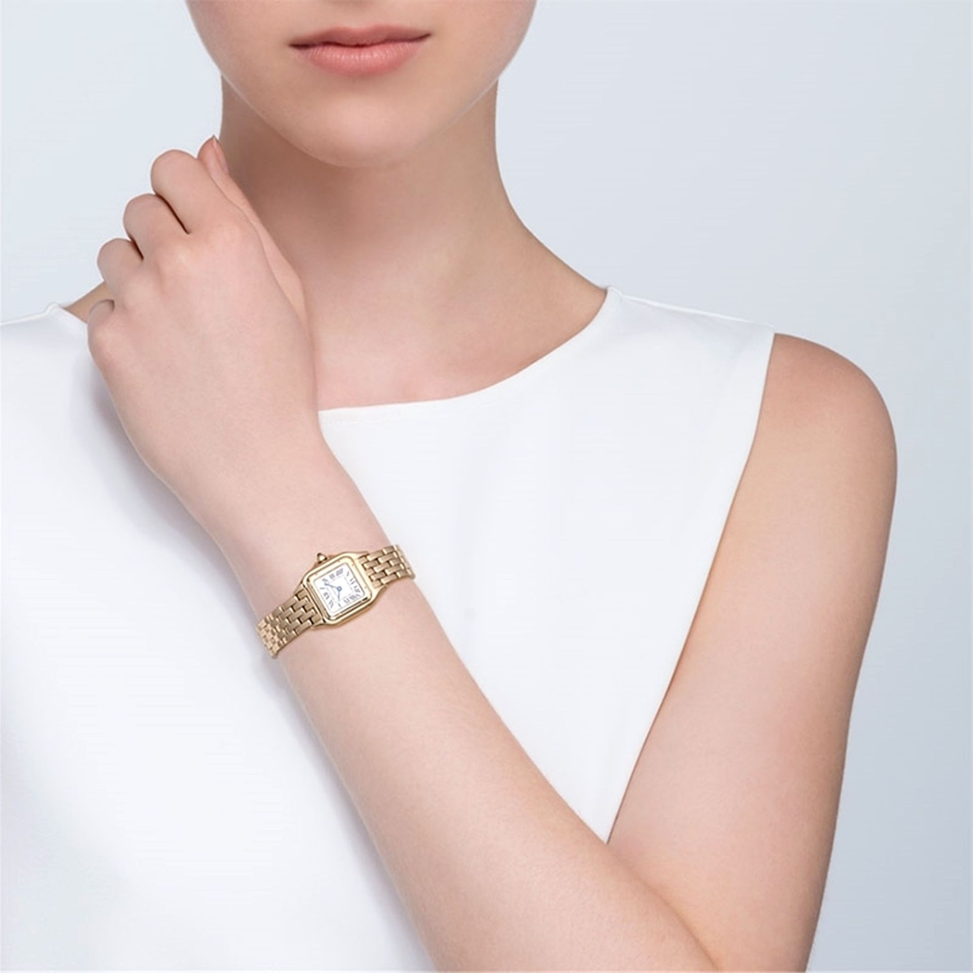 CARTIER Panthère De Cartier Modello Piccolo, Oro Giallo 22X30 MM WGPN0047