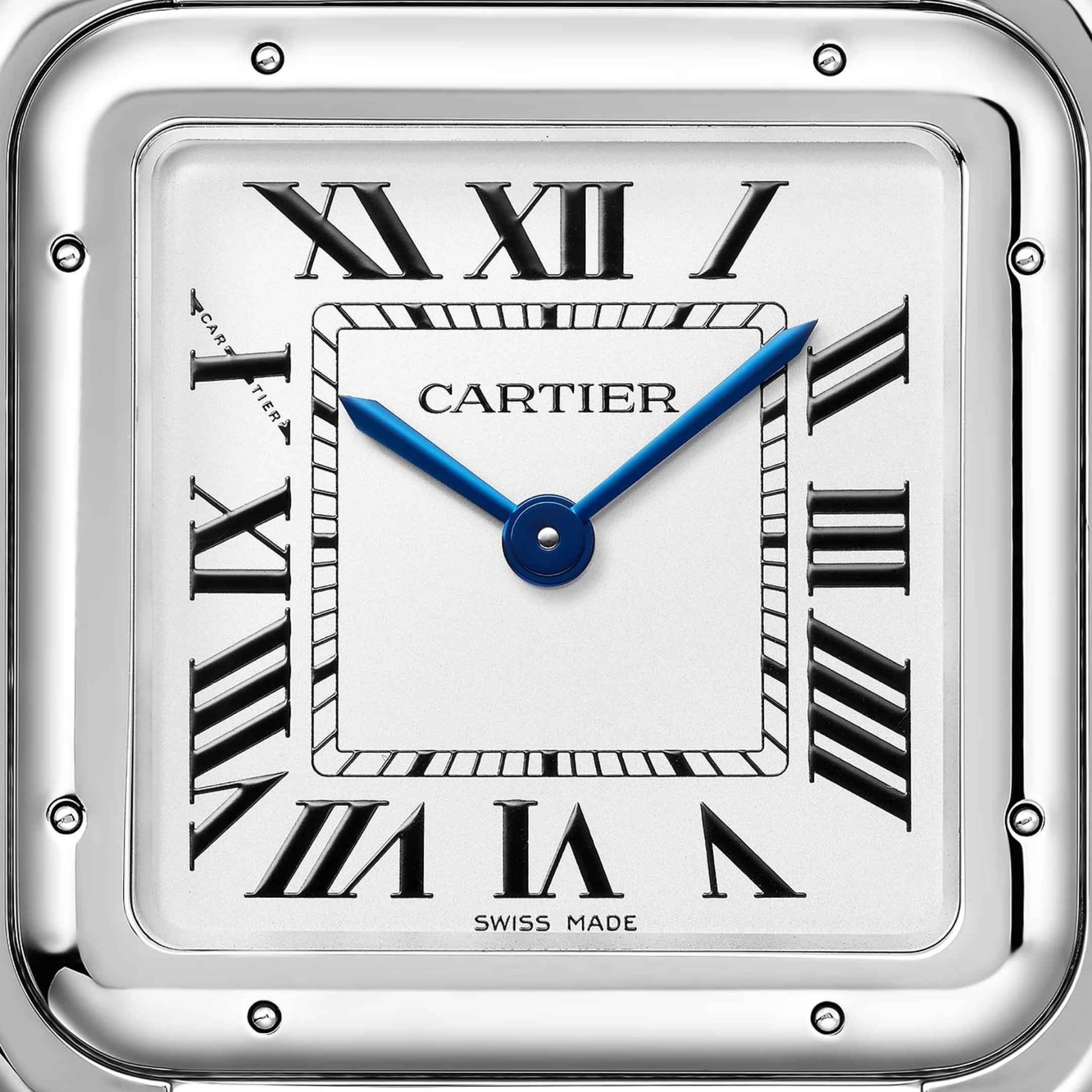 CARTIER Panthère De Cartier Modello Grande, Acciaio 31 X 42 MM WSPN0016