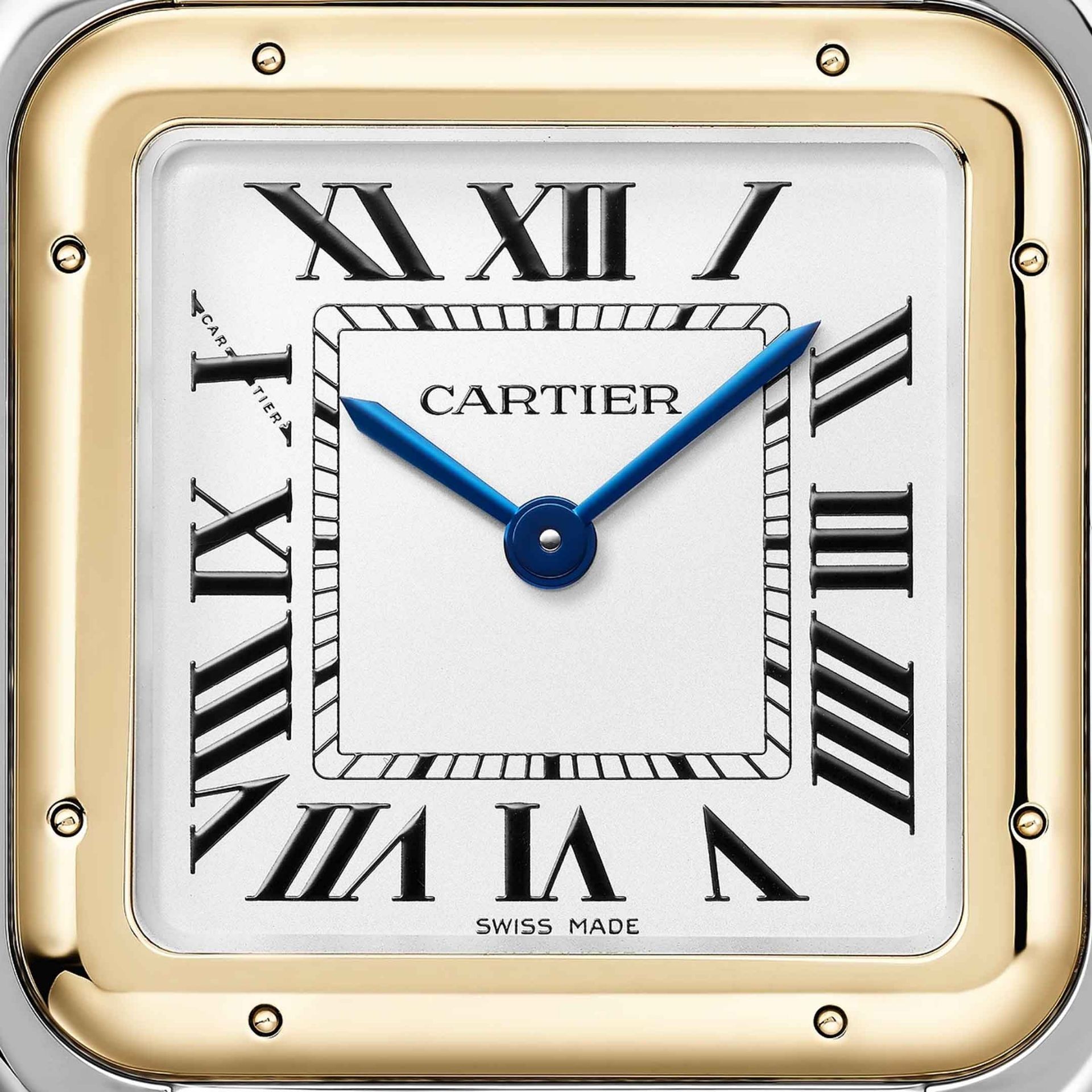 CARTIER Panthère De Cartier Modello Grande, Acciaio e Oro Giallo 31 X 42 MM W2PN0016
