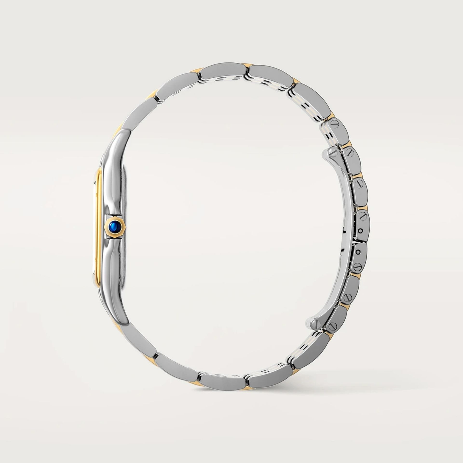 CARTIER Panthère De Cartier Modello Grande, Acciaio e Oro Giallo 31 X 42 MM W2PN0016