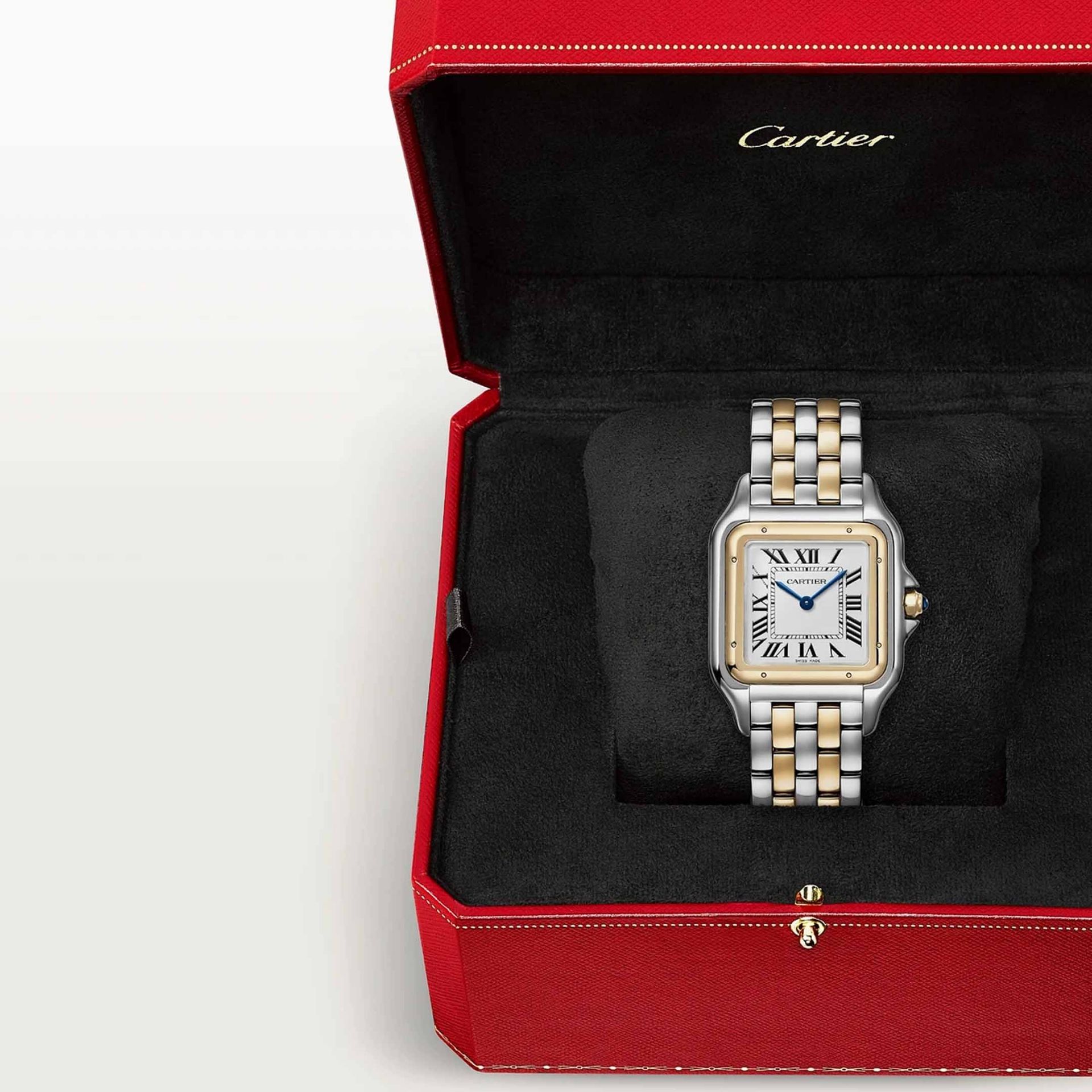 CARTIER Panthère De Cartier Modello Grande, Acciaio e Oro Giallo 31 X 42 MM W2PN0016