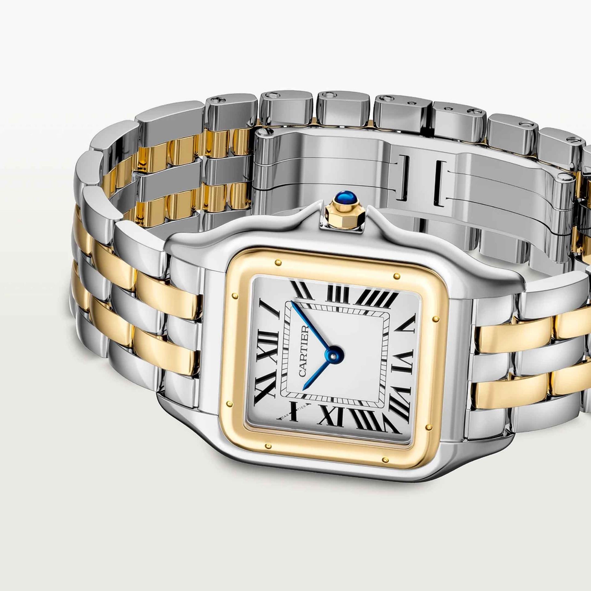 CARTIER Panthère De Cartier Modello Grande, Acciaio e Oro Giallo 31 X 42 MM W2PN0016