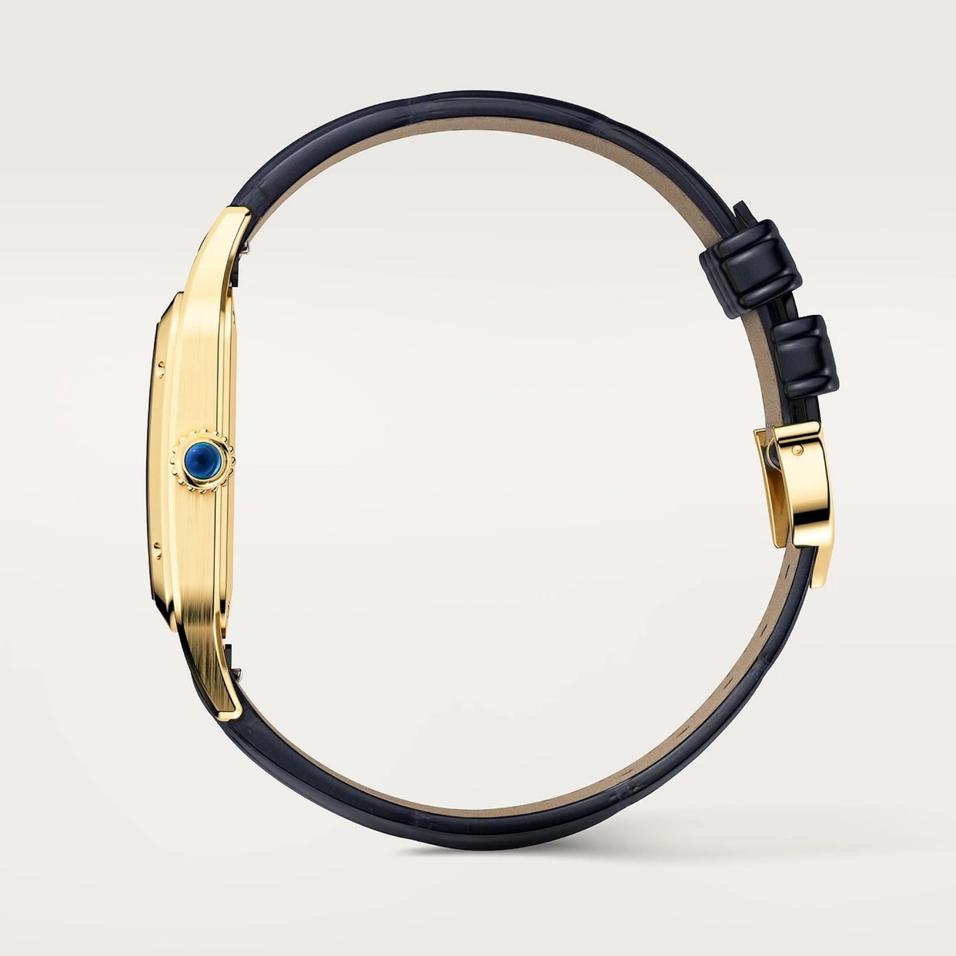 Cartier Santos-Dumont Large Model 43.5 X 31.4 MM WGSA0115