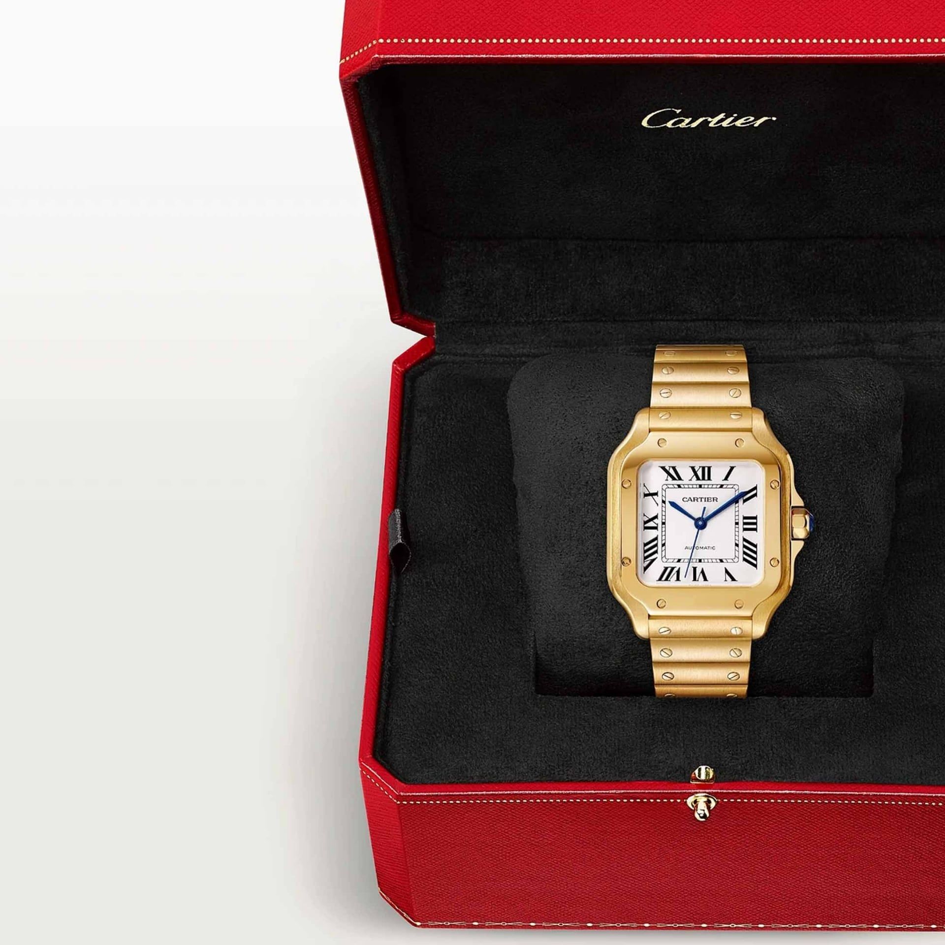 CARTIER Santos De Cartier Modello Medio, Oro Giallo 35.1  MM WGSA0030