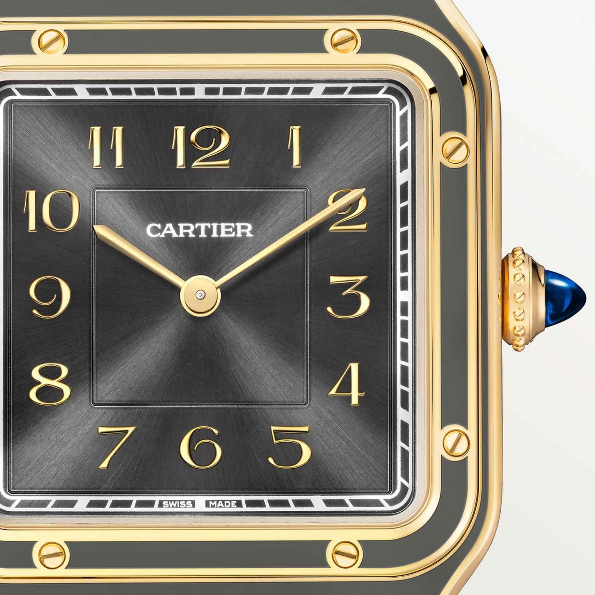 CARTIER Santos-Dumont Modello Grande, Oro, Pelle 43.5 X 31.4 MM WGSA0097