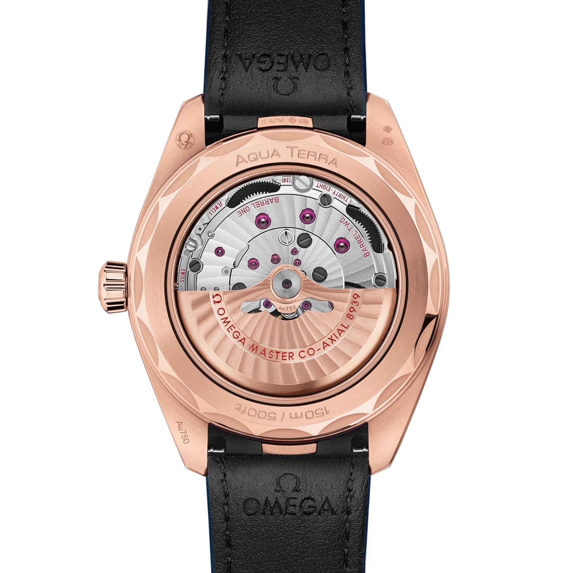 OMEGA Seamaster Aqua Terra 150M Co-Axial Master Chronometer Gmt Worldtimer 43 MM 220.53.43.22.02.001