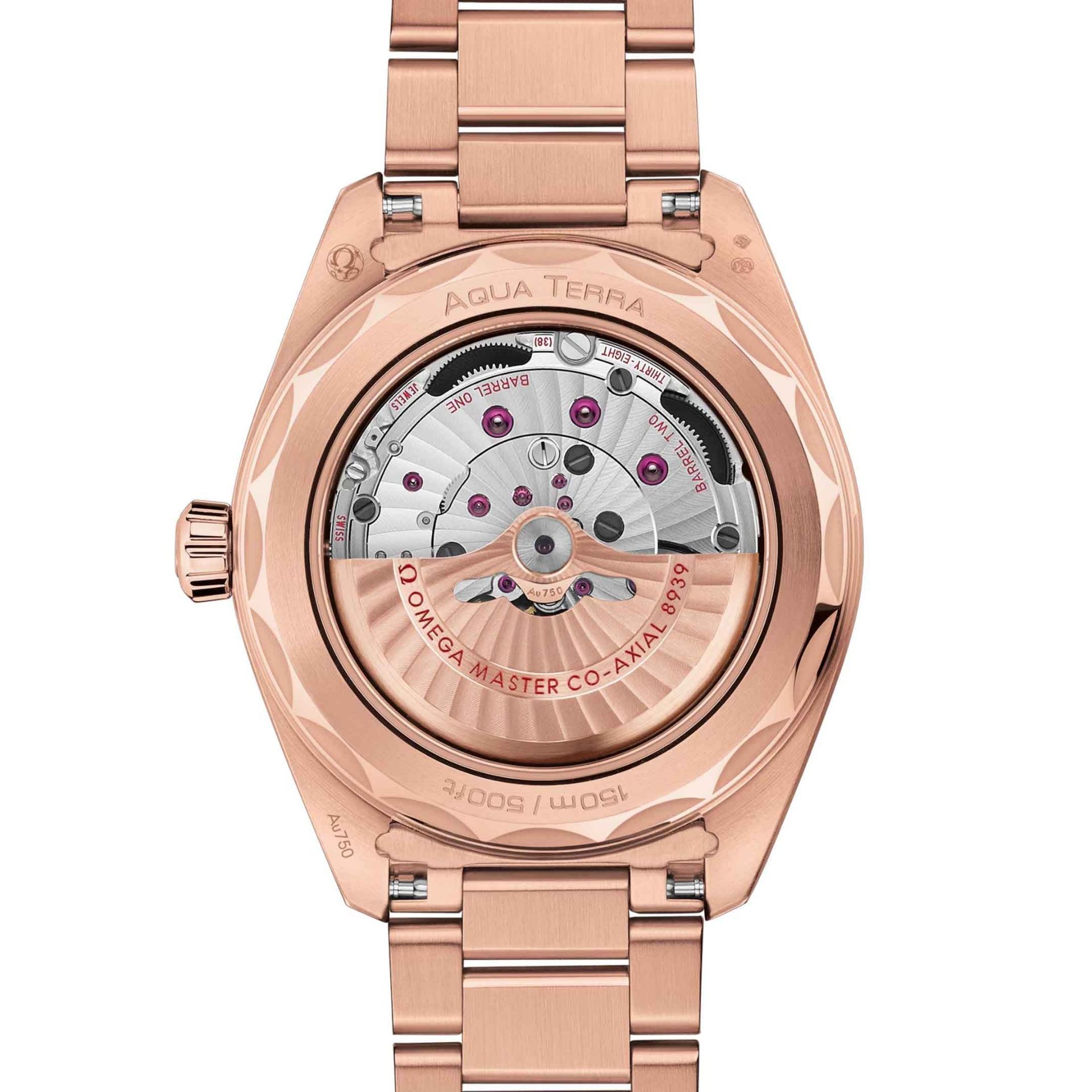 OMEGA Seamaster Aqua Terra 150M Co-Axial Master Chronometer Gmt Worldtimer 43 MM 220.50.43.22.02.001