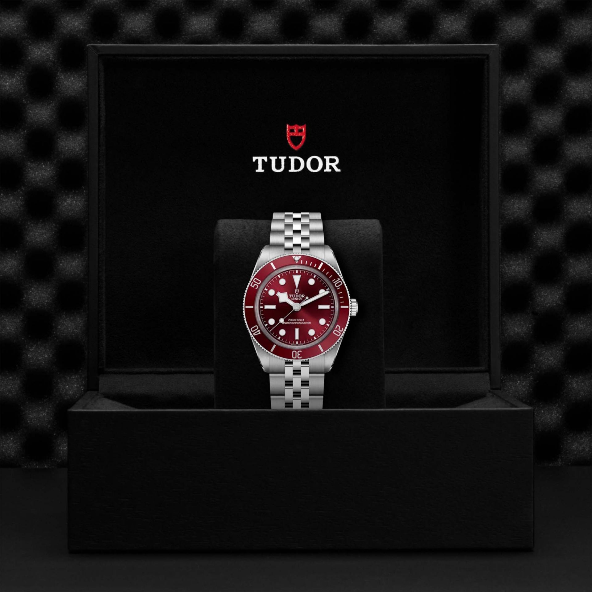 TUDOR Black Bay 58 39 MM M7939A1A0RU-0001
