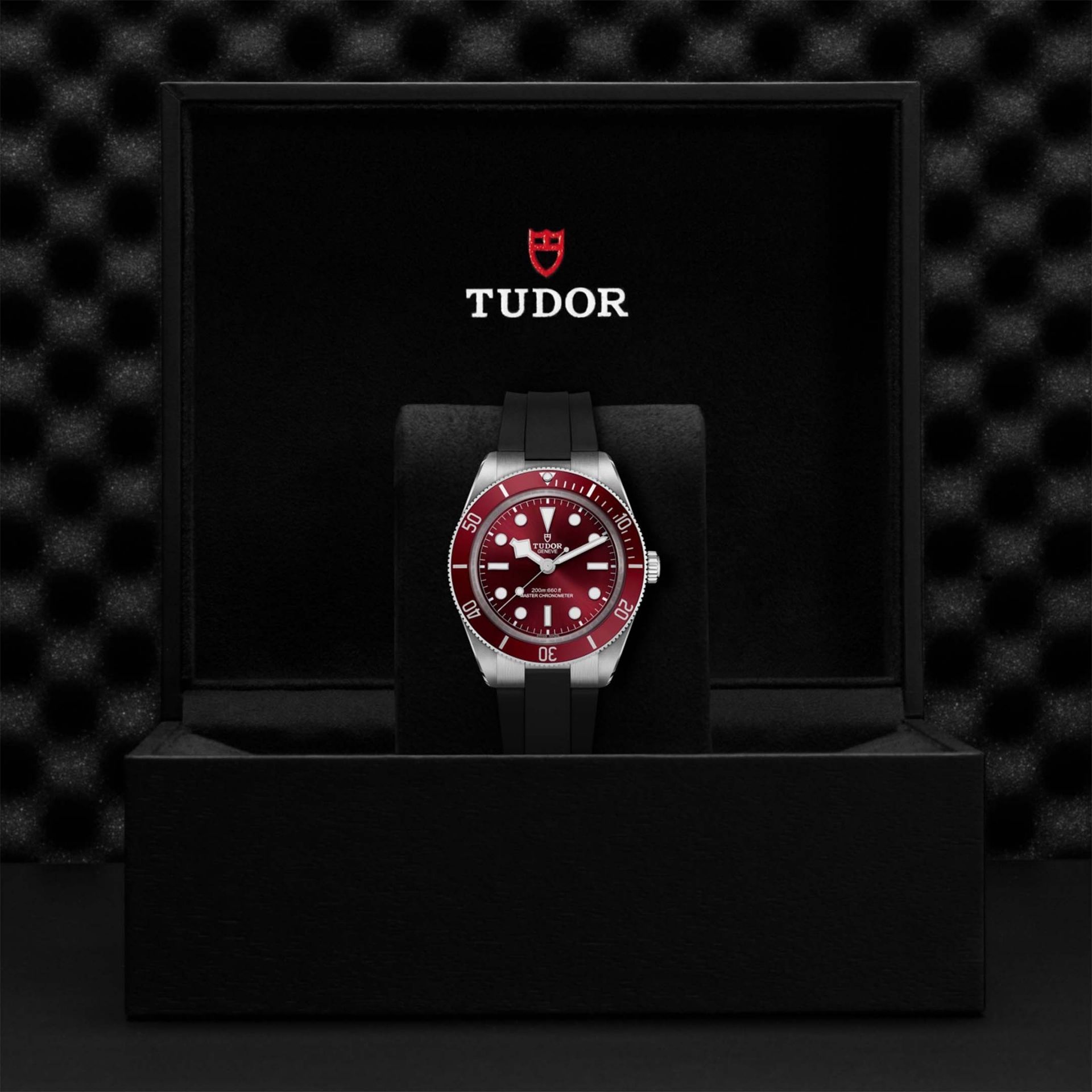 TUDOR Black Bay 58 39 MM M7939A1A0RU-0003