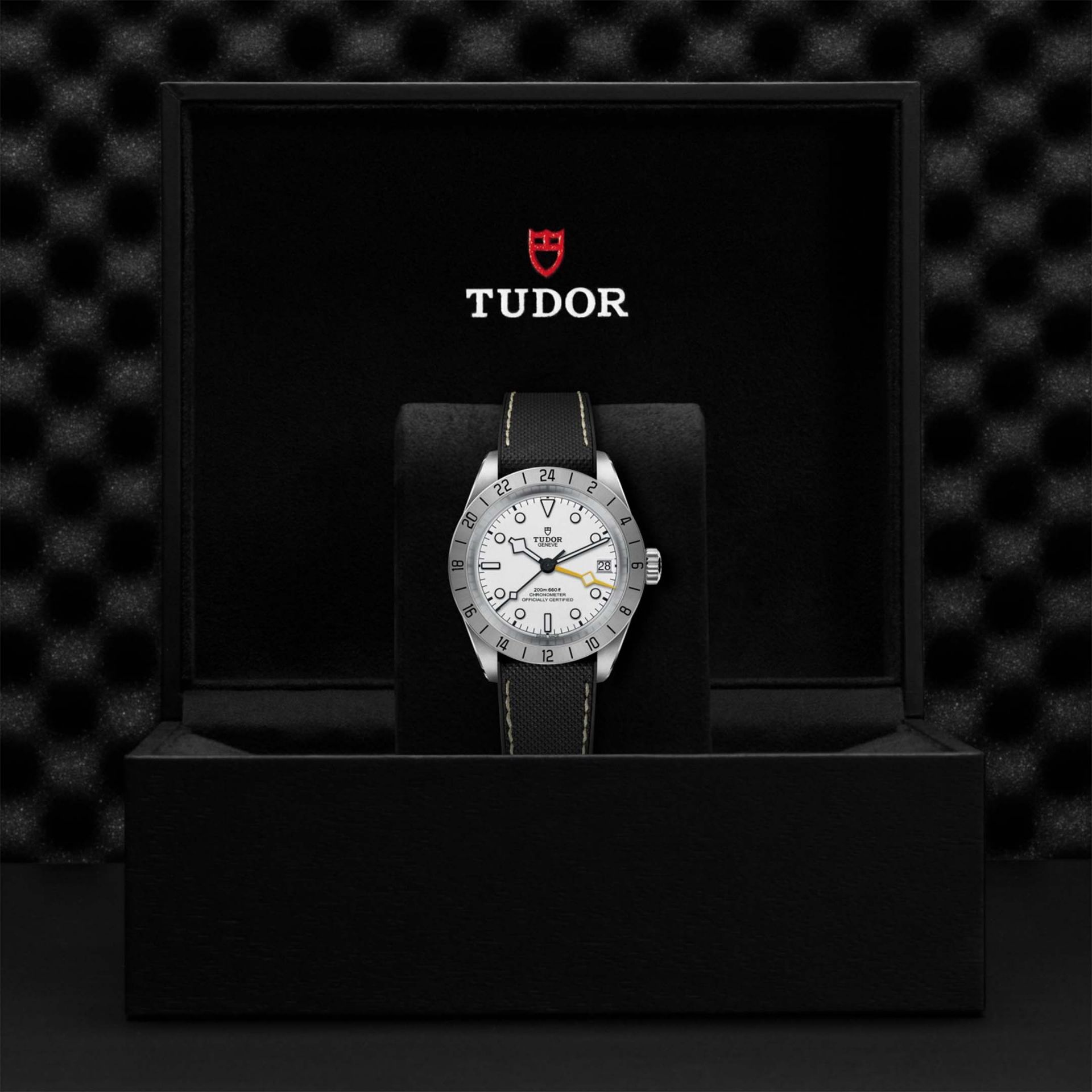 TUDOR Black Bay Pro 39 MM M79470-0006