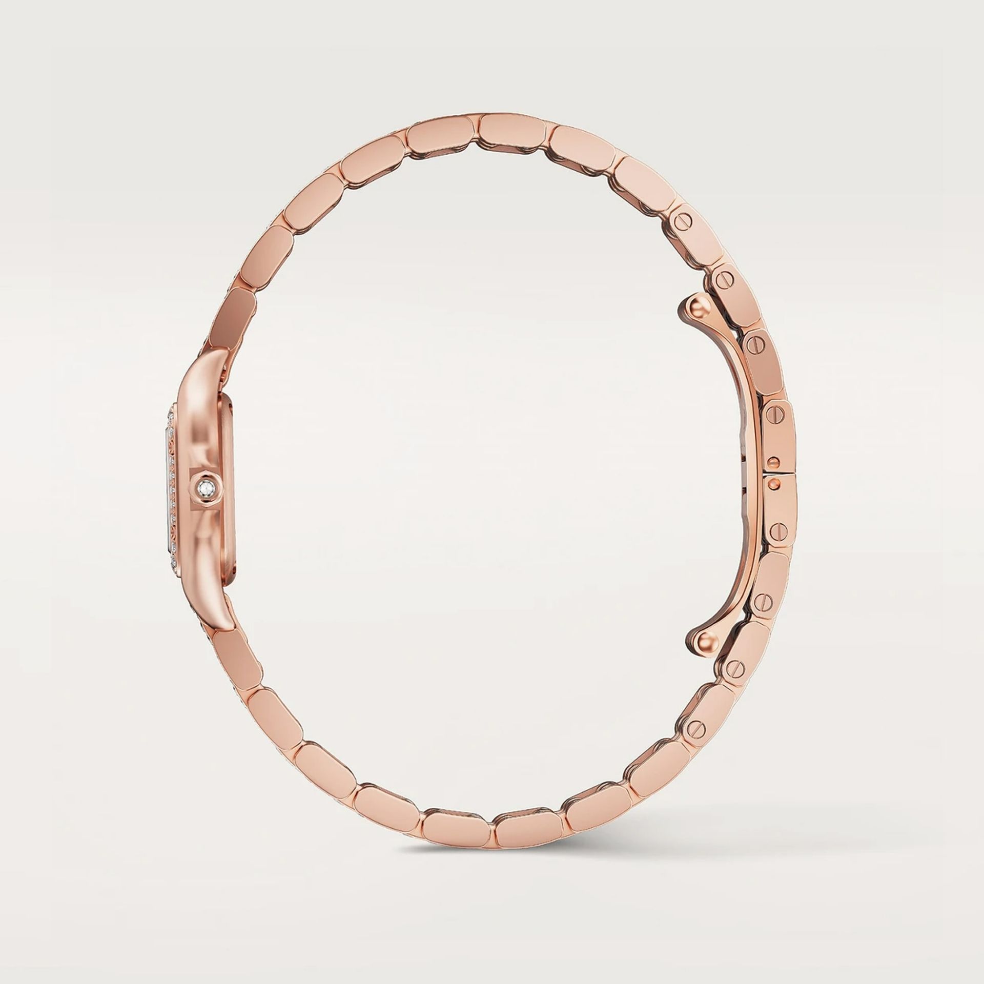 CARTIER Panthère De Cartier Modello Mini, Oro Rosa, Diamanti 25 X 20  MM WJPN0063