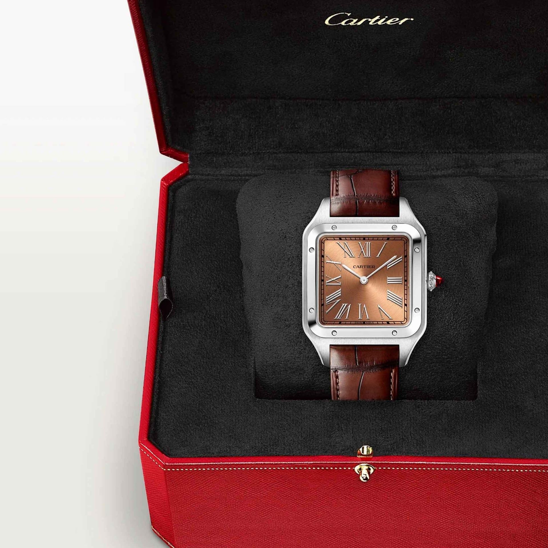 CARTIER Santos-Dumont Modello XL, Platino, Pelle 46.6 x 33.9 MM WGSA0113