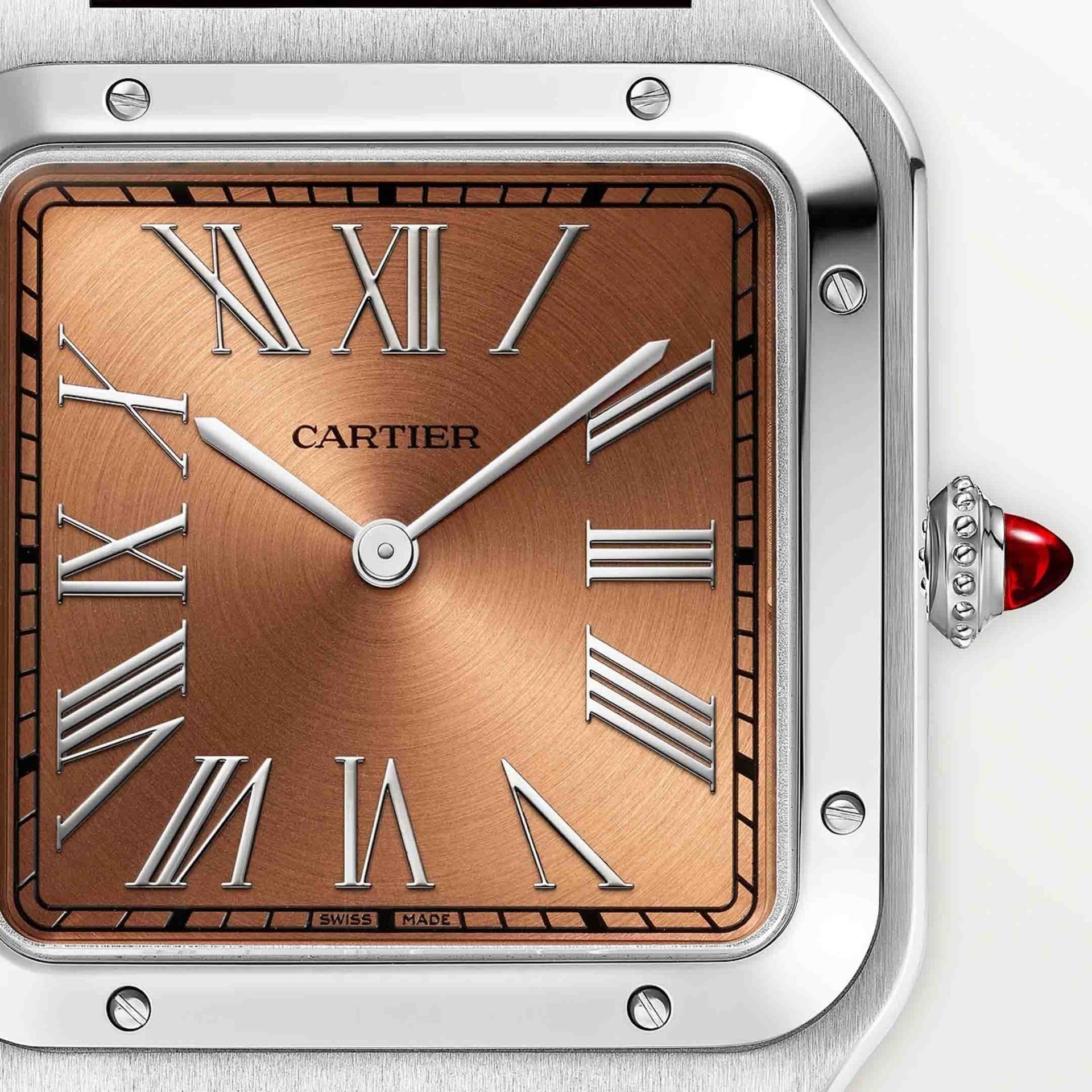CARTIER Santos-Dumont Modello XL, Platino, Pelle 46.6 x 33.9 MM WGSA0113