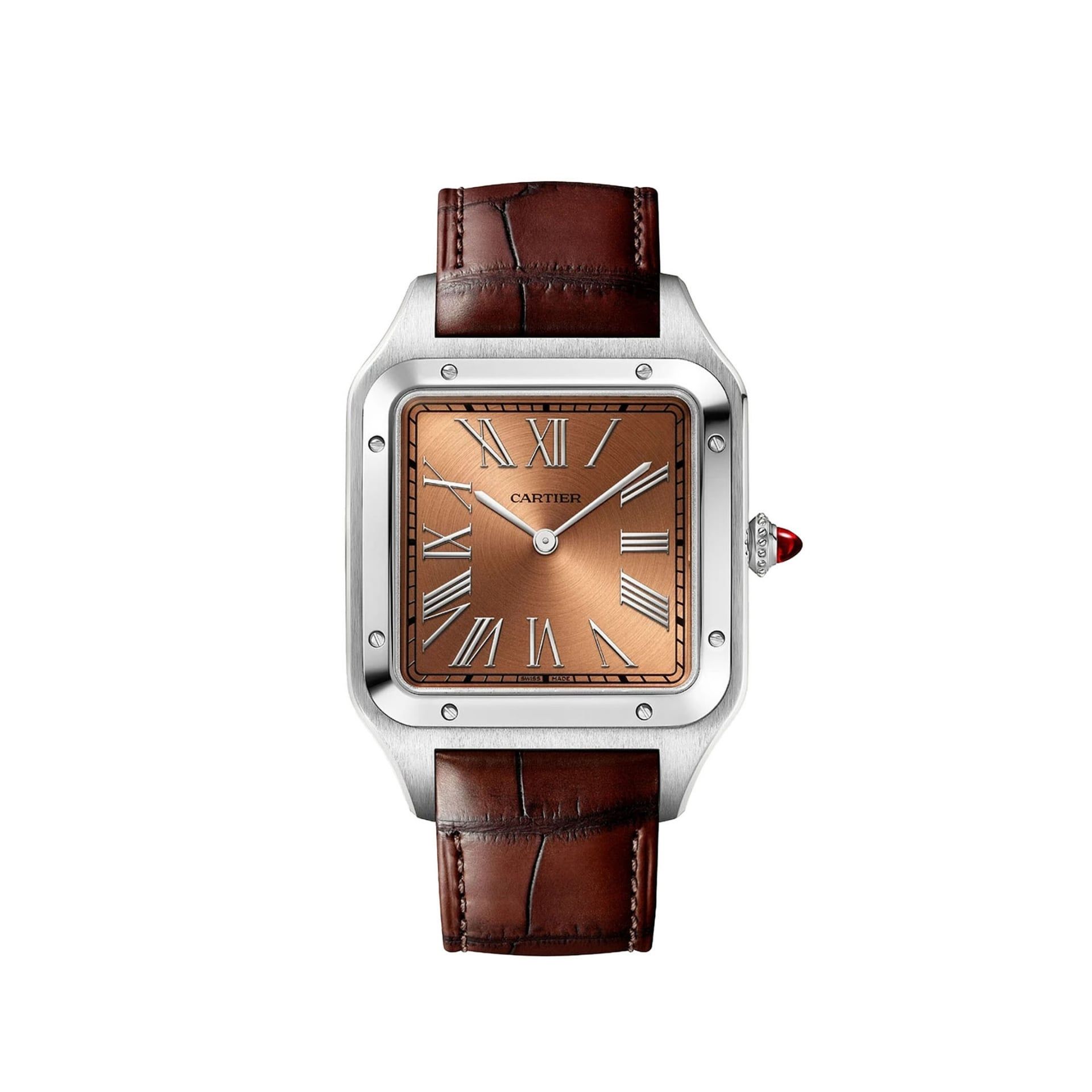 CARTIER Santos-Dumont Modello XL, Platino, Pelle 46.6 x 33.9 MM WGSA0113