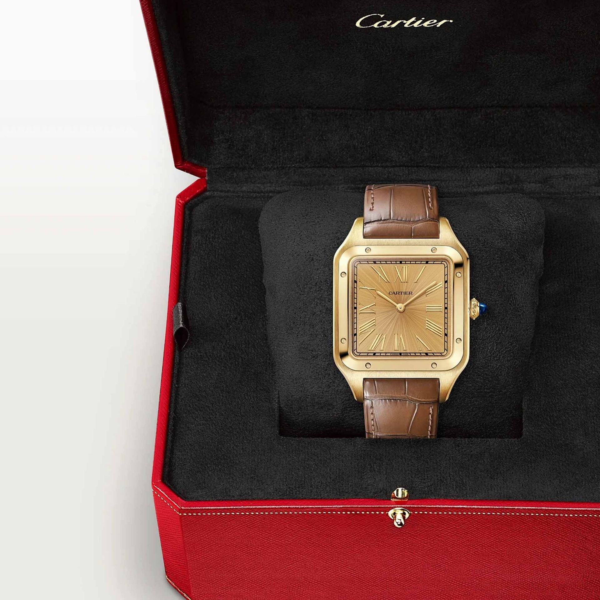 CARTIER Santos-Dumont Modello XL, Oro, Pelle 46.6 x 33.9 MM WGSA0111