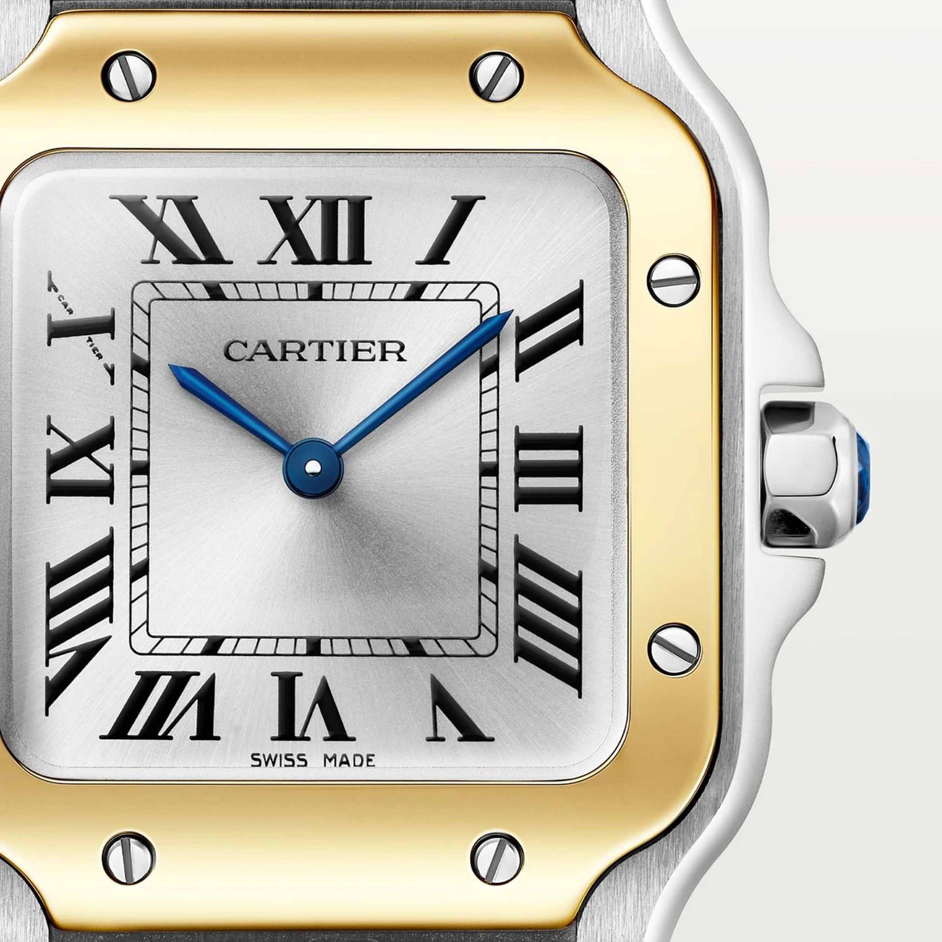 CARTIER Santos De Cartier Modello Piccolo, Oro e Acciaio 27 X 34,5 MM W2SA0033