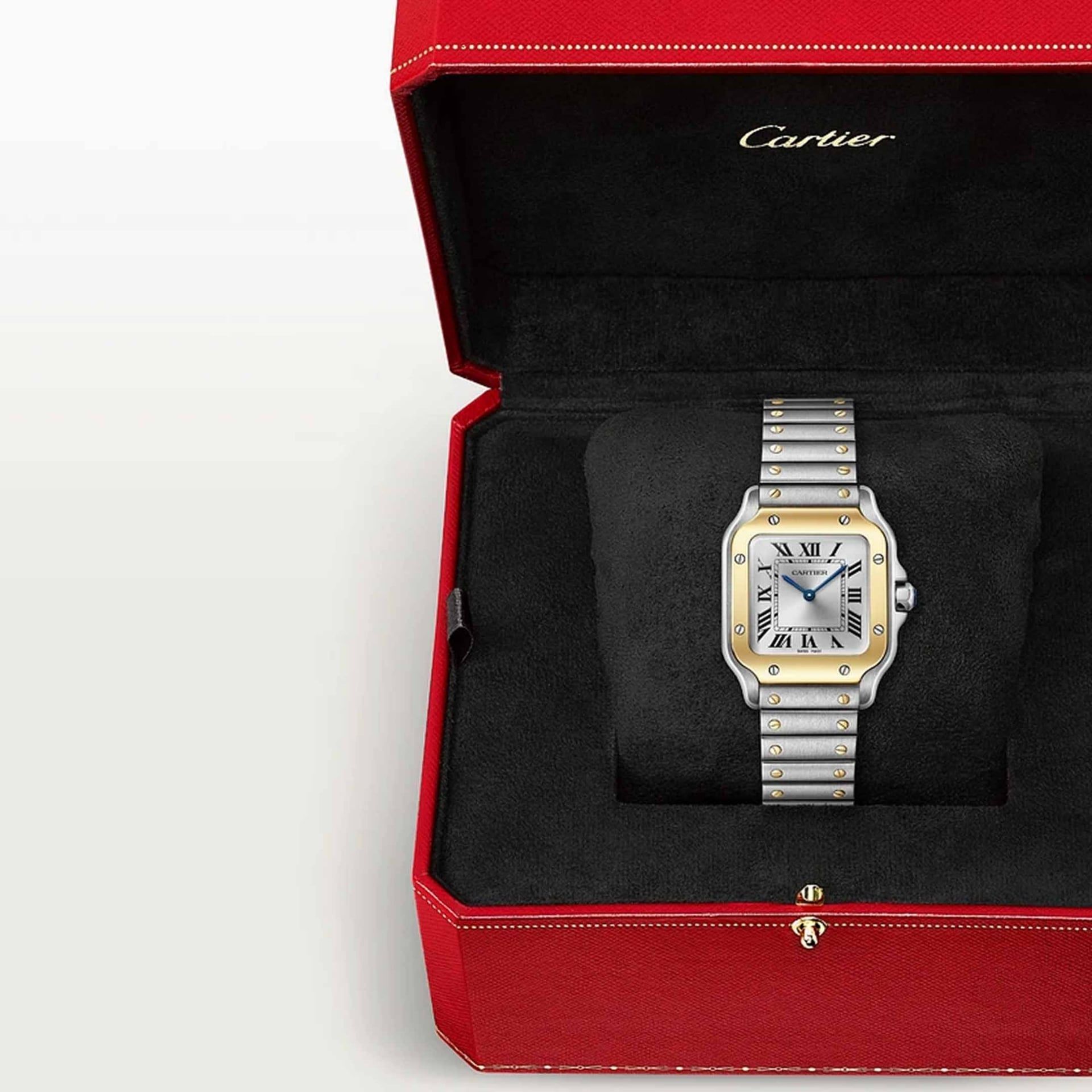 CARTIER Santos De Cartier Modello Piccolo, Oro e Acciaio 27 X 34,5 MM W2SA0033
