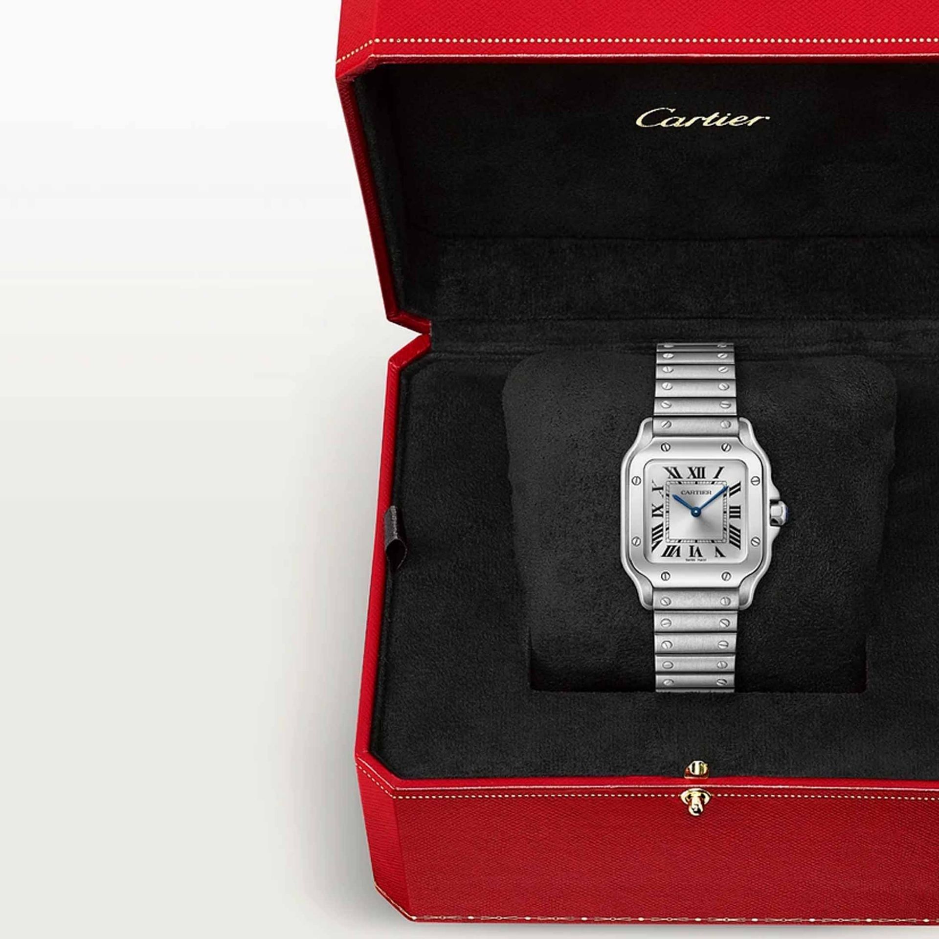 CARTIER Santos De Cartier Modello Piccolo, Acciaio 27 X 34,5 MM WSSA0082