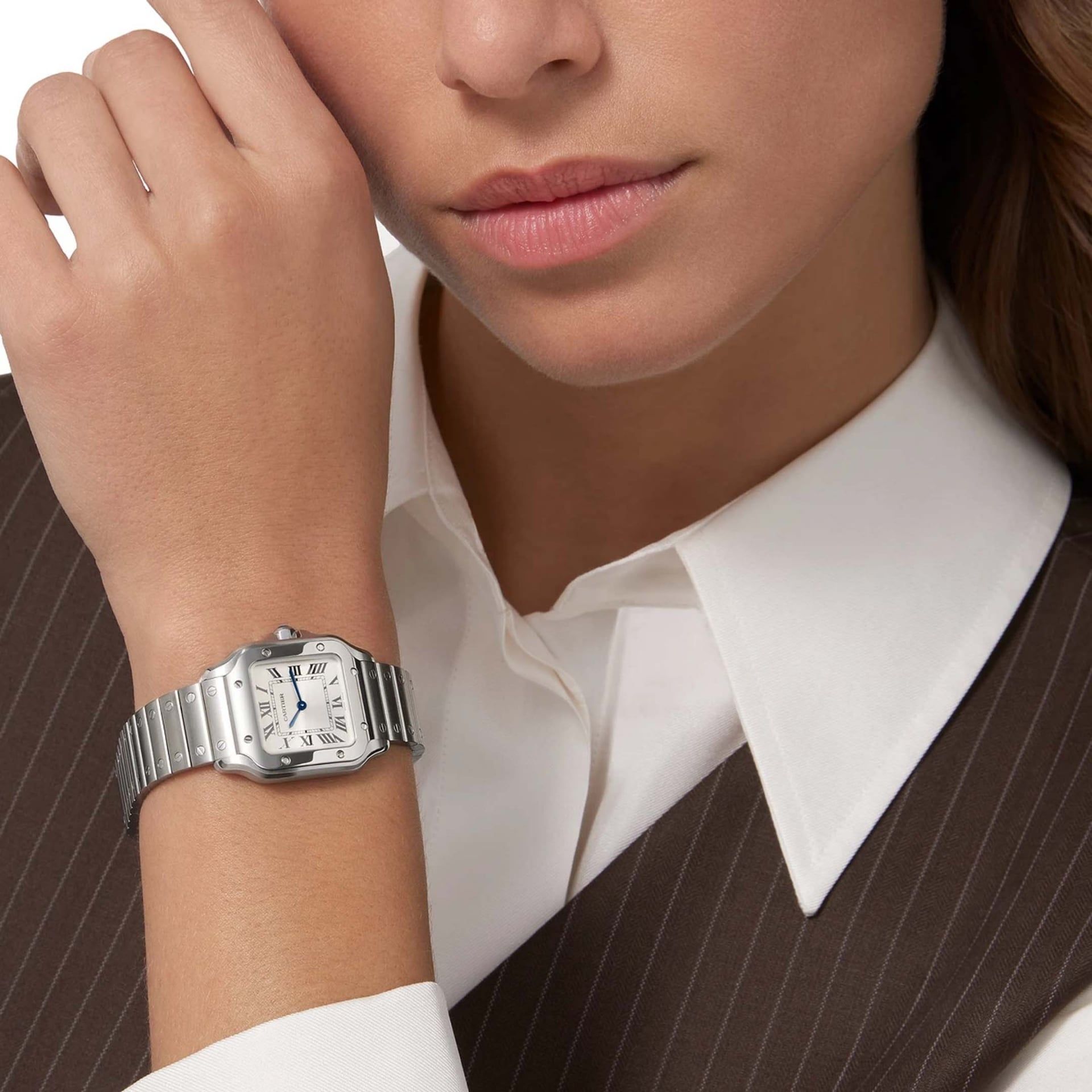 CARTIER Santos De Cartier Modello Piccolo, Acciaio 27 X 34,5 MM WSSA0082