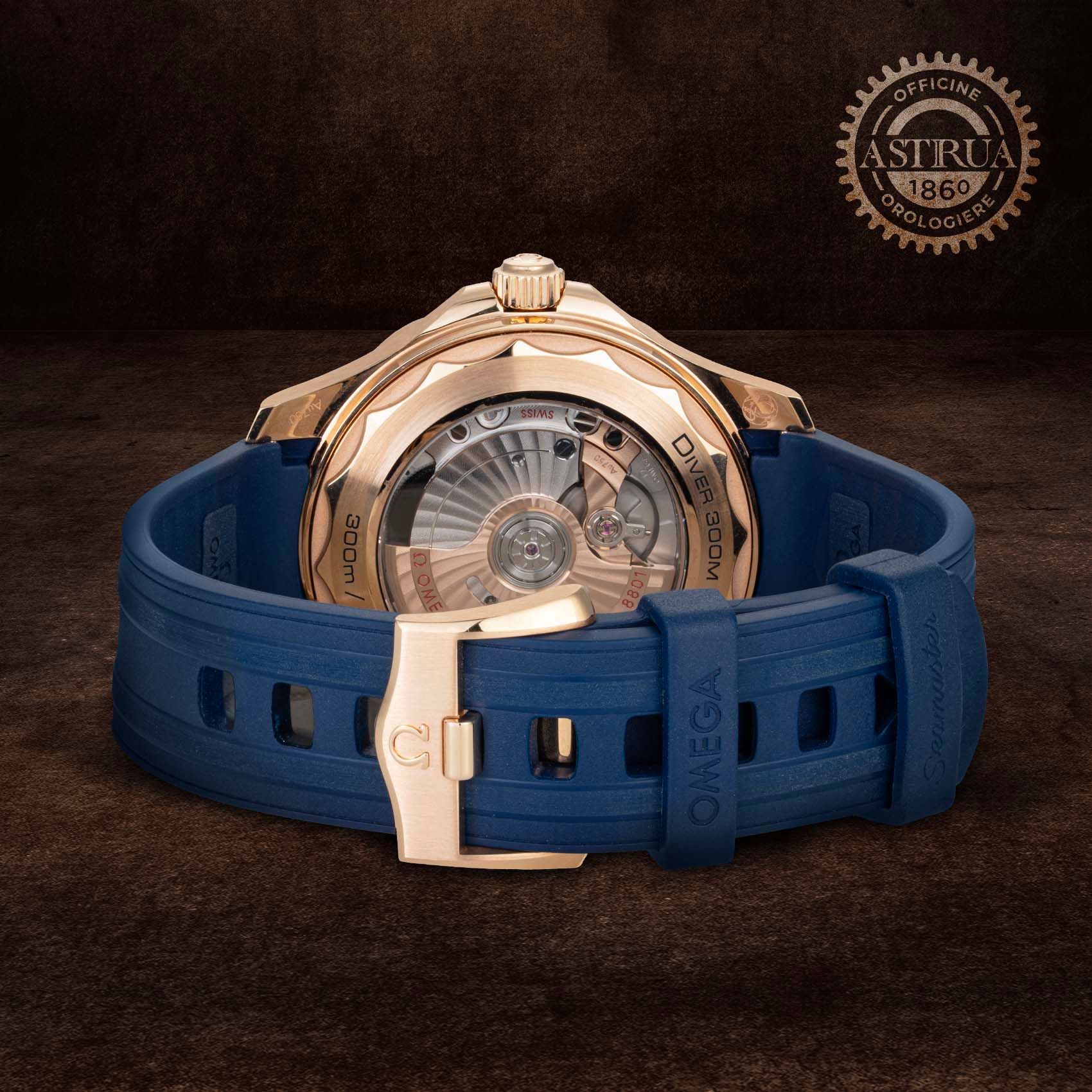 OMEGA Seamaster Diver 300M 42 MM 210.62.42.20.03.001