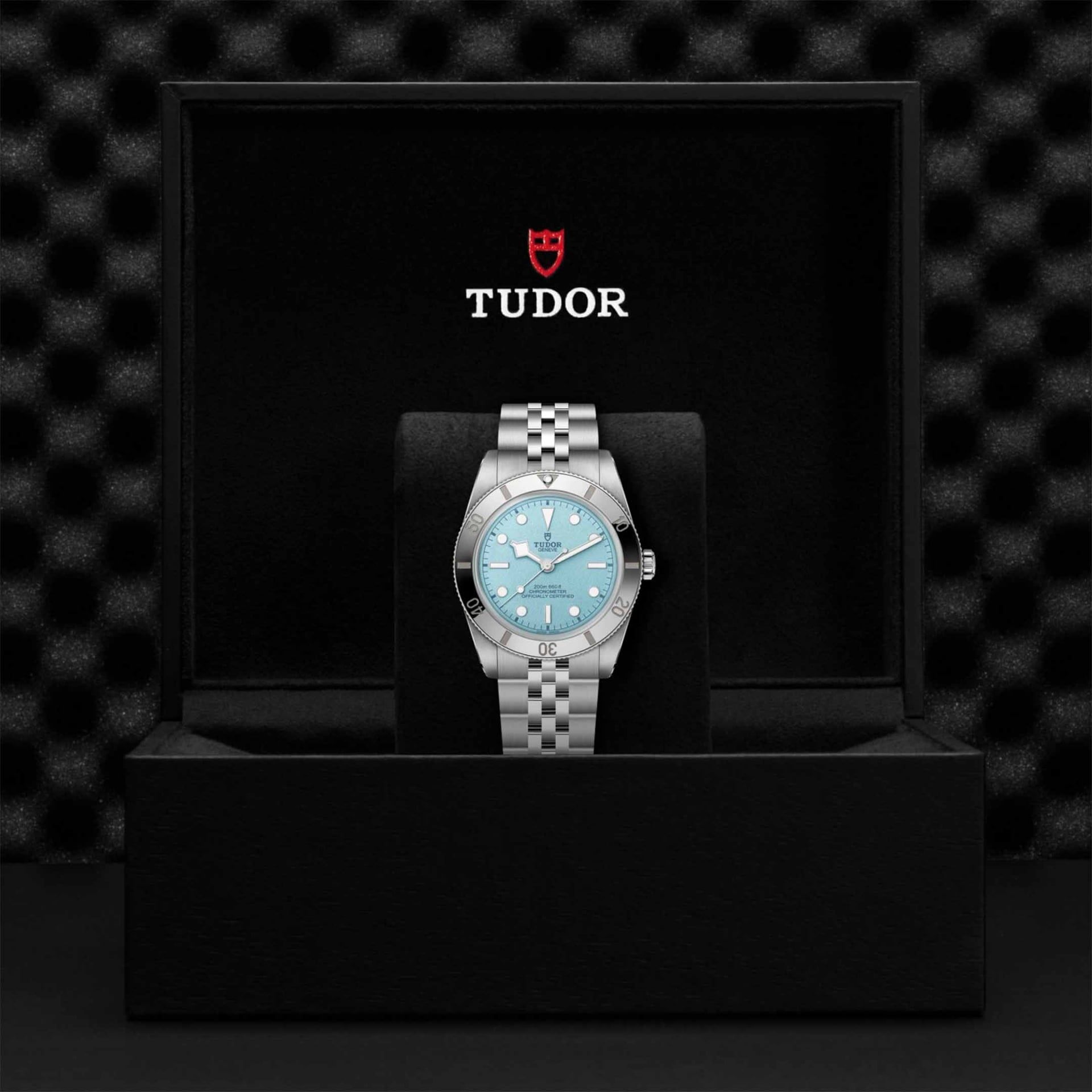 TUDOR Black Bay 54 37 MM M79000-0001