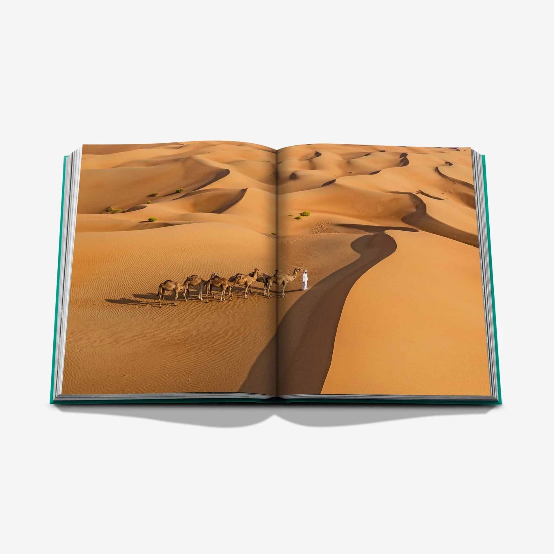 ASSOULINE Libro Abu Dhabi Bright 25 x 3 x H 33 CM 9781649804440