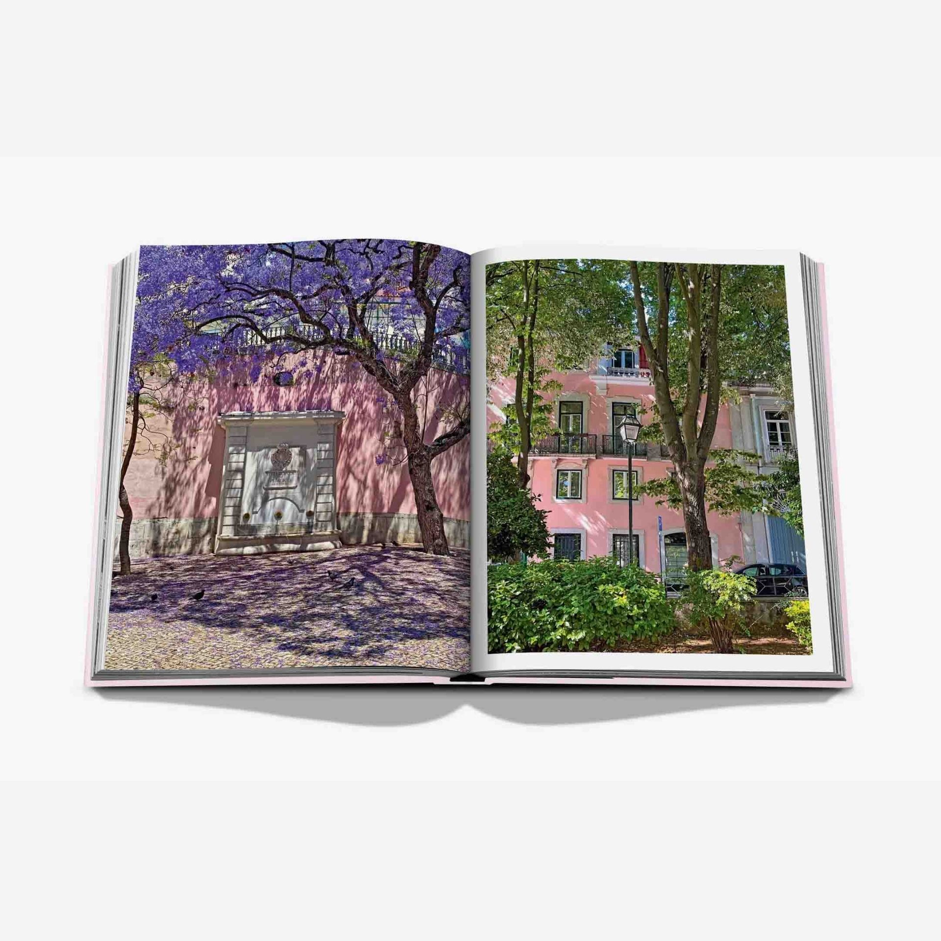 ASSOULINE Libro Lisboa Luz 25 x 4 x H 33 CM 9781649801012