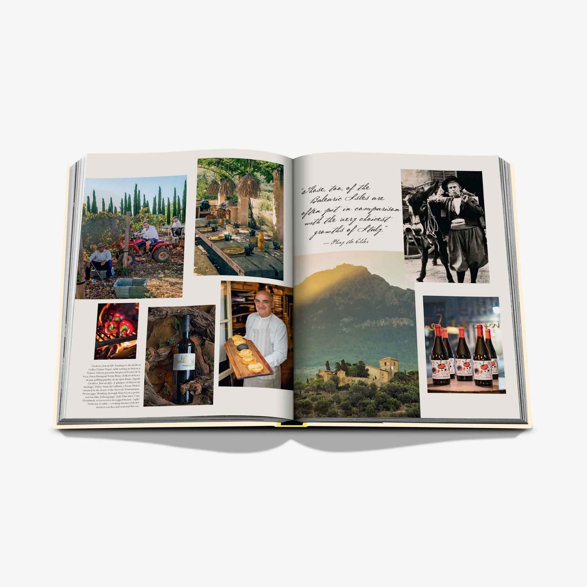 ASSOULINE Libro Wine & Travel Mediterranean Islands 25 x 3 x H 33 CM 9781649804983