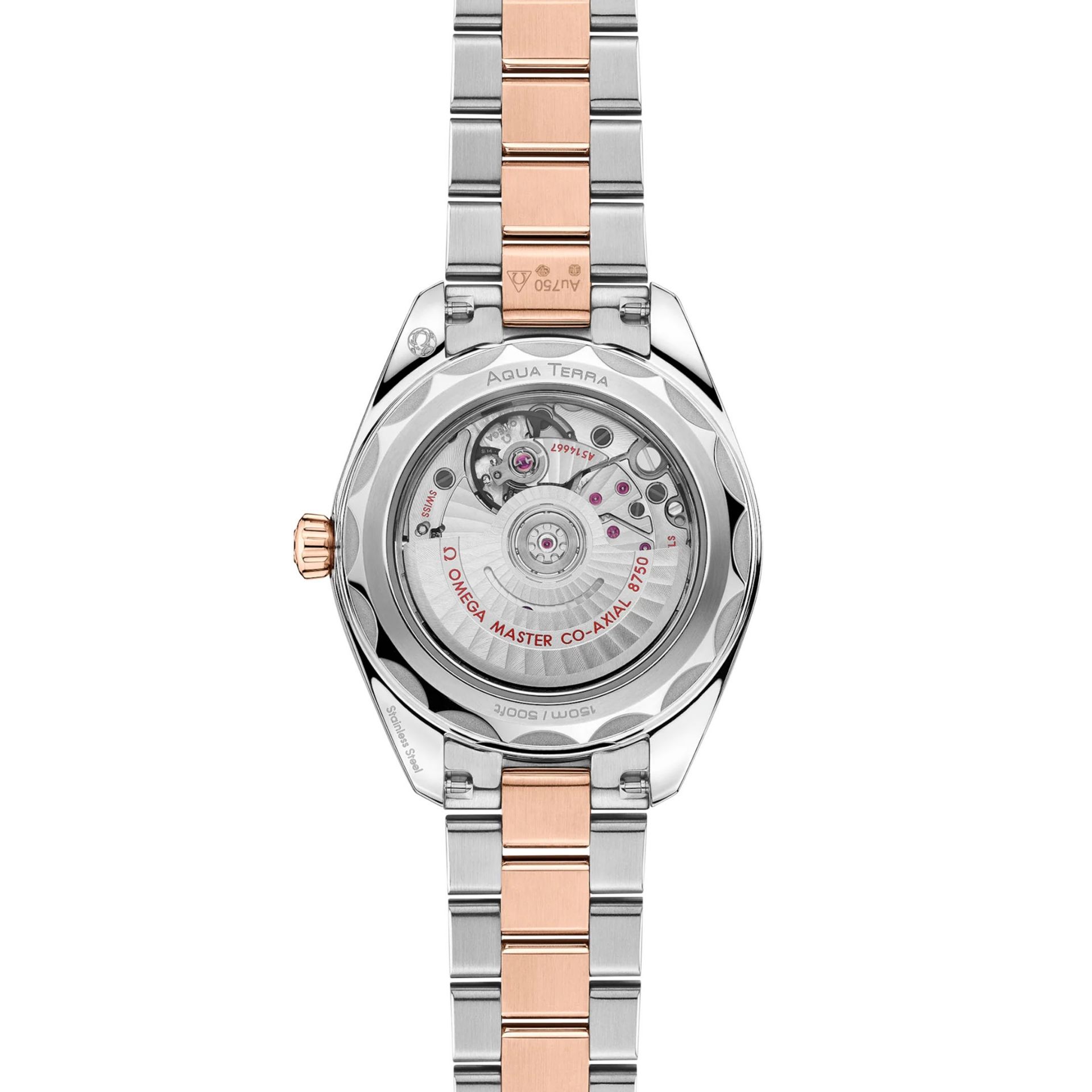 OMEGA Seamaster Aqua Terra 150M 30 MM 220.20.30.20.63.001