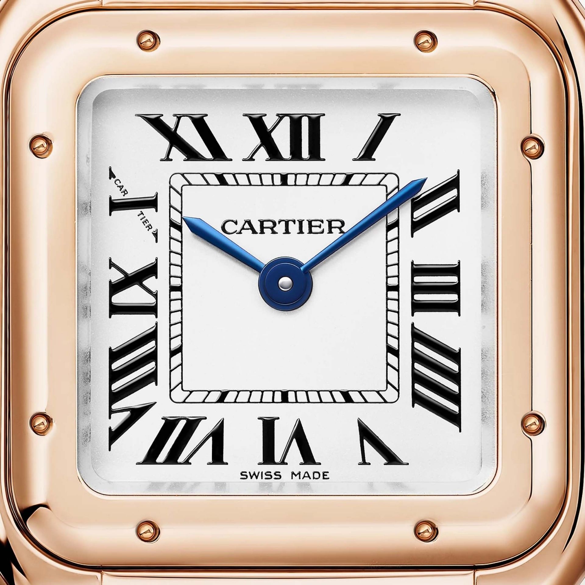 CARTIER Panthère De Cartier Modello Piccolo, Oro Rosa 23 X 30 MM WGPN0060