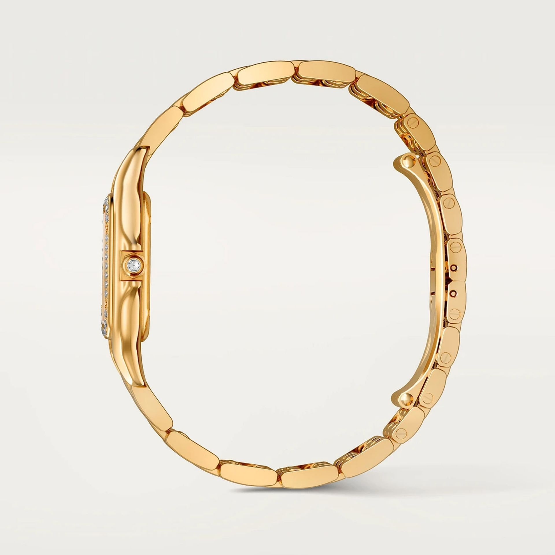 CARTIER Panthère De Cartier Modello Medio, Oro Giallo, Diamanti 36,5 x 26,7 MM WJPN0093