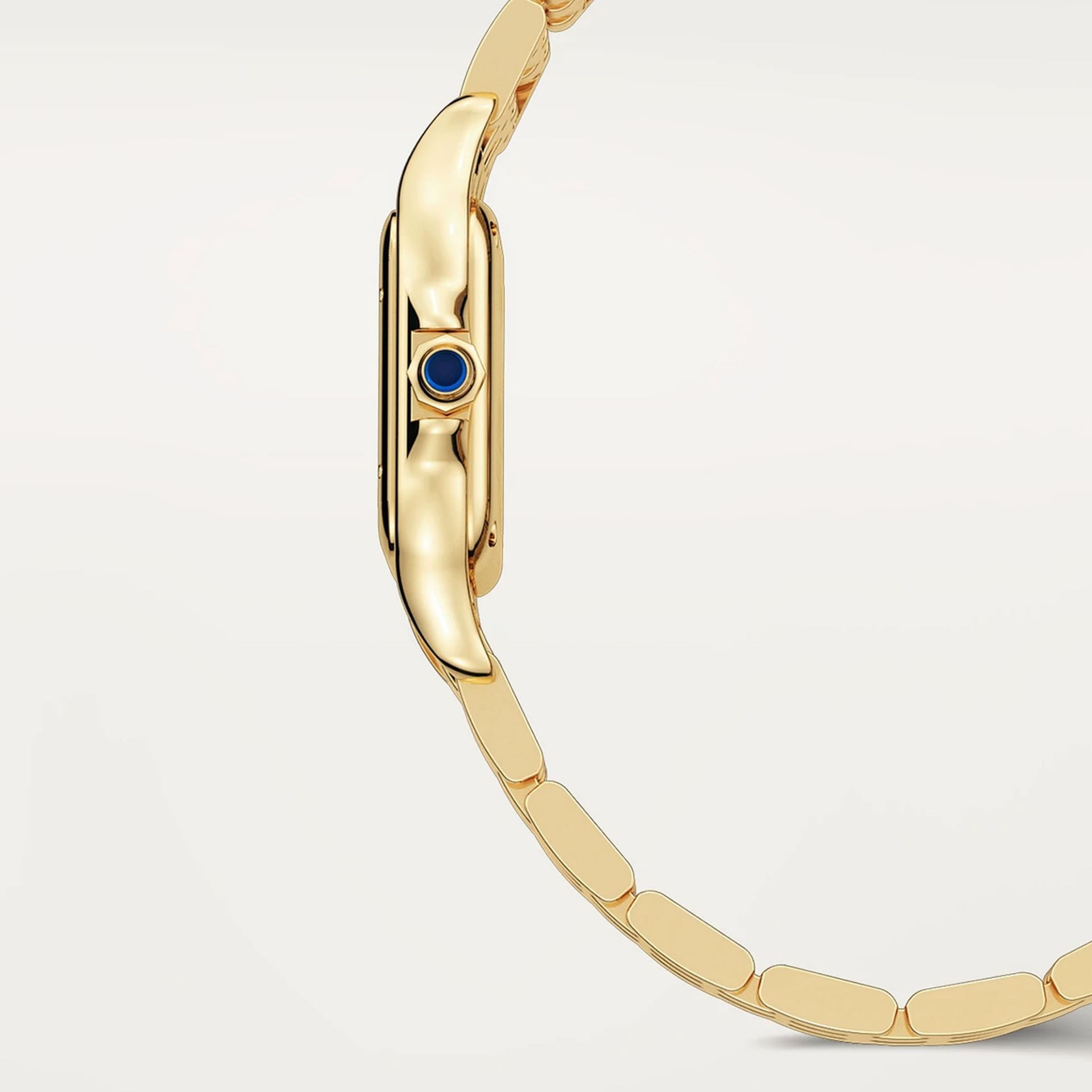 CARTIER Panthère De Cartier Modello Piccolo, Oro Giallo 22 X 30 MM WGPN0059