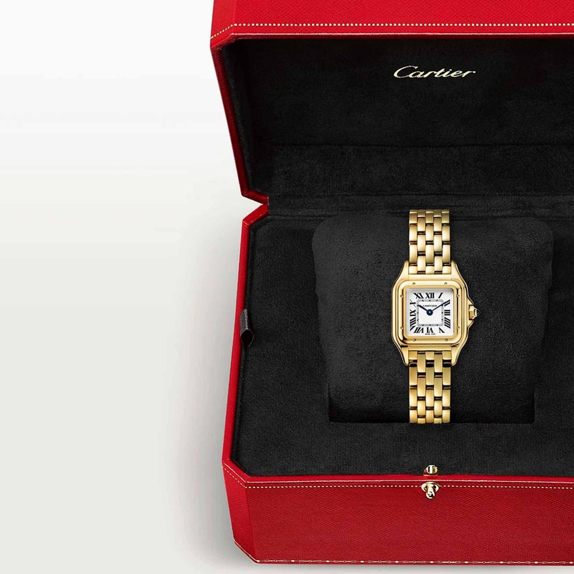 CARTIER Panthère De Cartier Modello Piccolo, Oro Giallo 22 X 30 MM WGPN0059