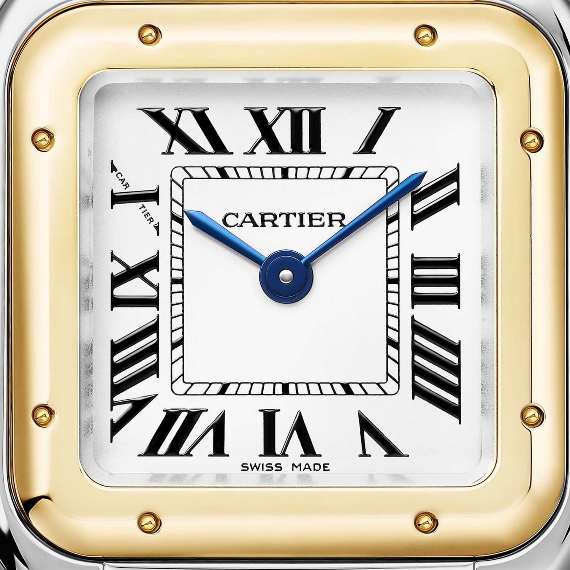 CARTIER Panthère De Cartier Modello Piccolo, Oro Giallo e Acciaio 23 X 30 MM W2PN0018