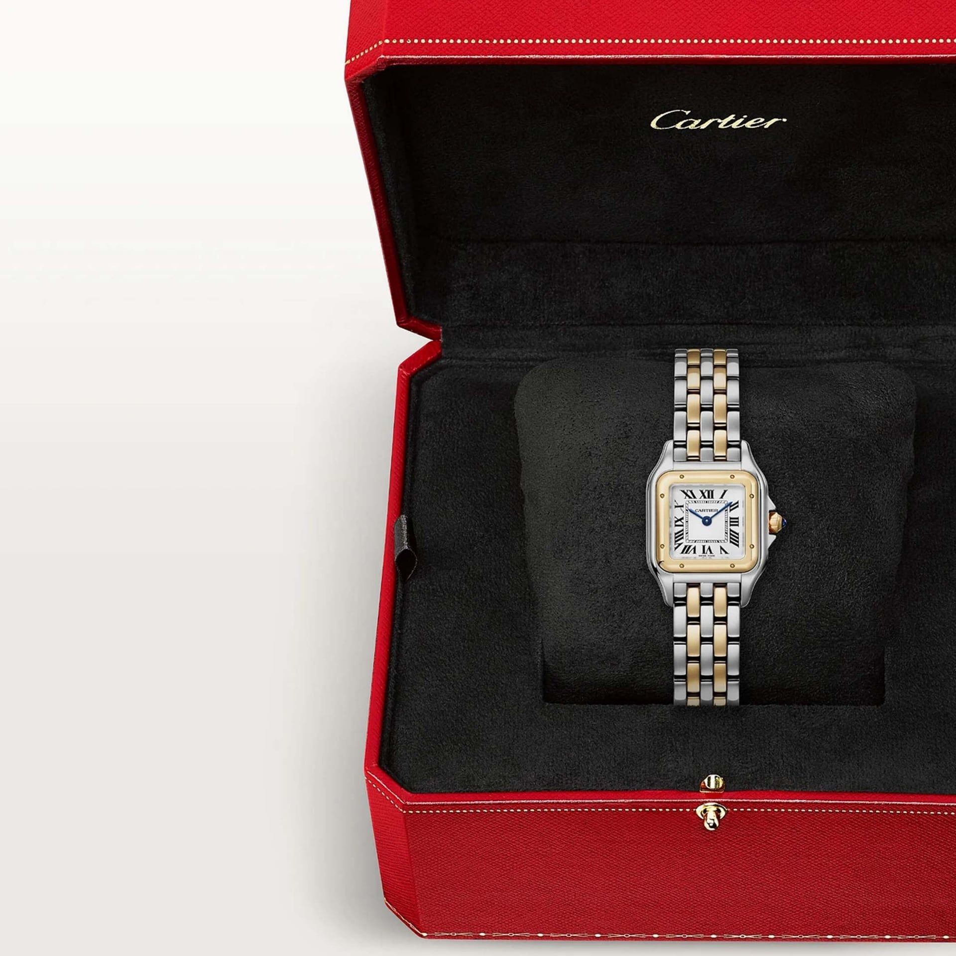 CARTIER Panthère De Cartier Modello Piccolo, Oro Giallo e Acciaio 23 X 30 MM W2PN0018