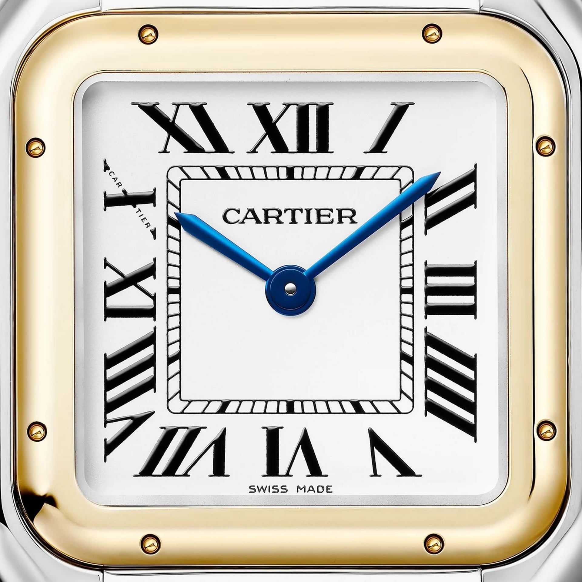 CARTIER Panthère De Cartier Modello Medio, Oro Giallo e Acciaio 29 X 37 MM W2PN0019